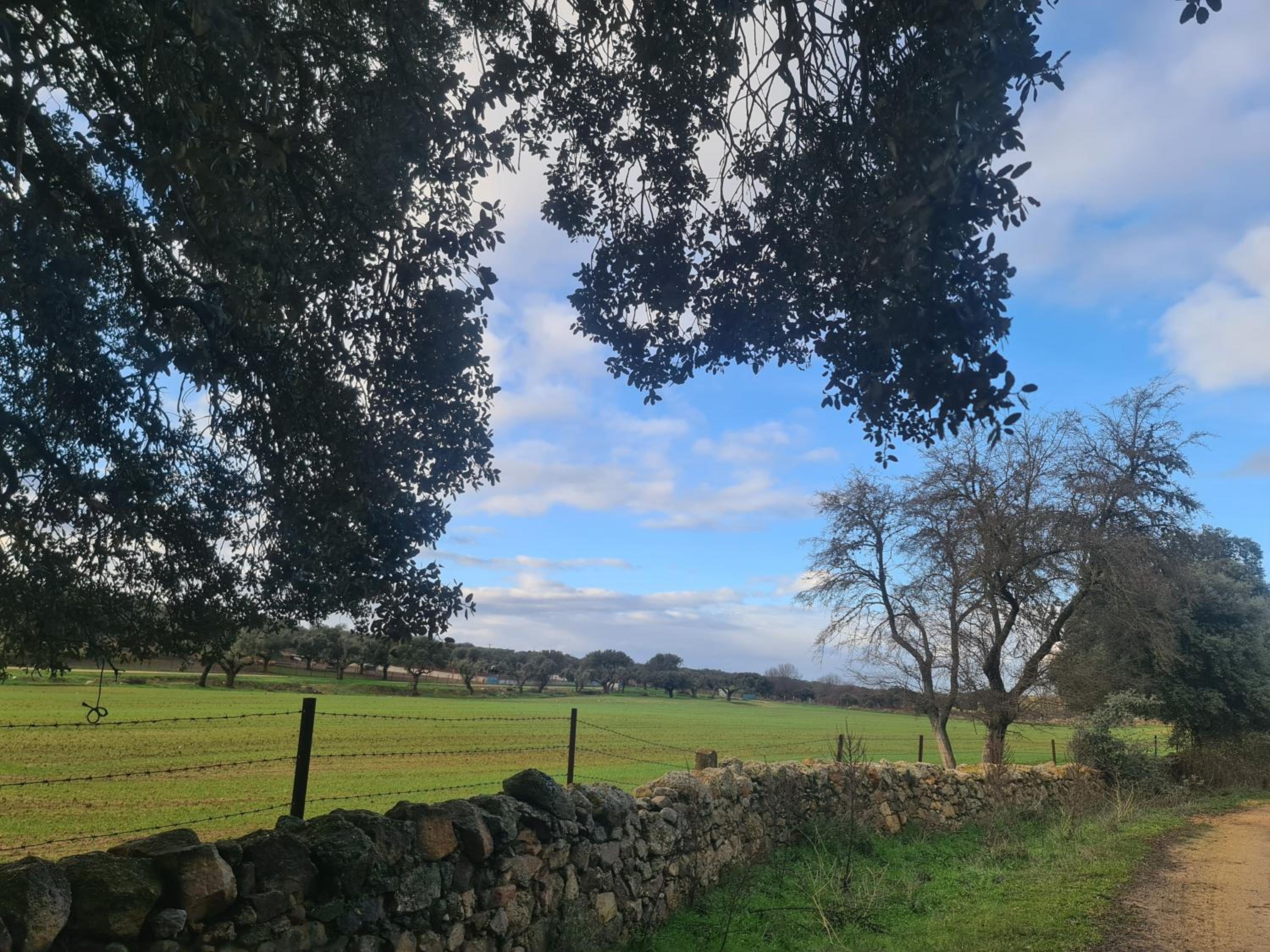 CASA RURAL PALACIO CONDE DE ALDANA con piscina entre encinares y dehesas