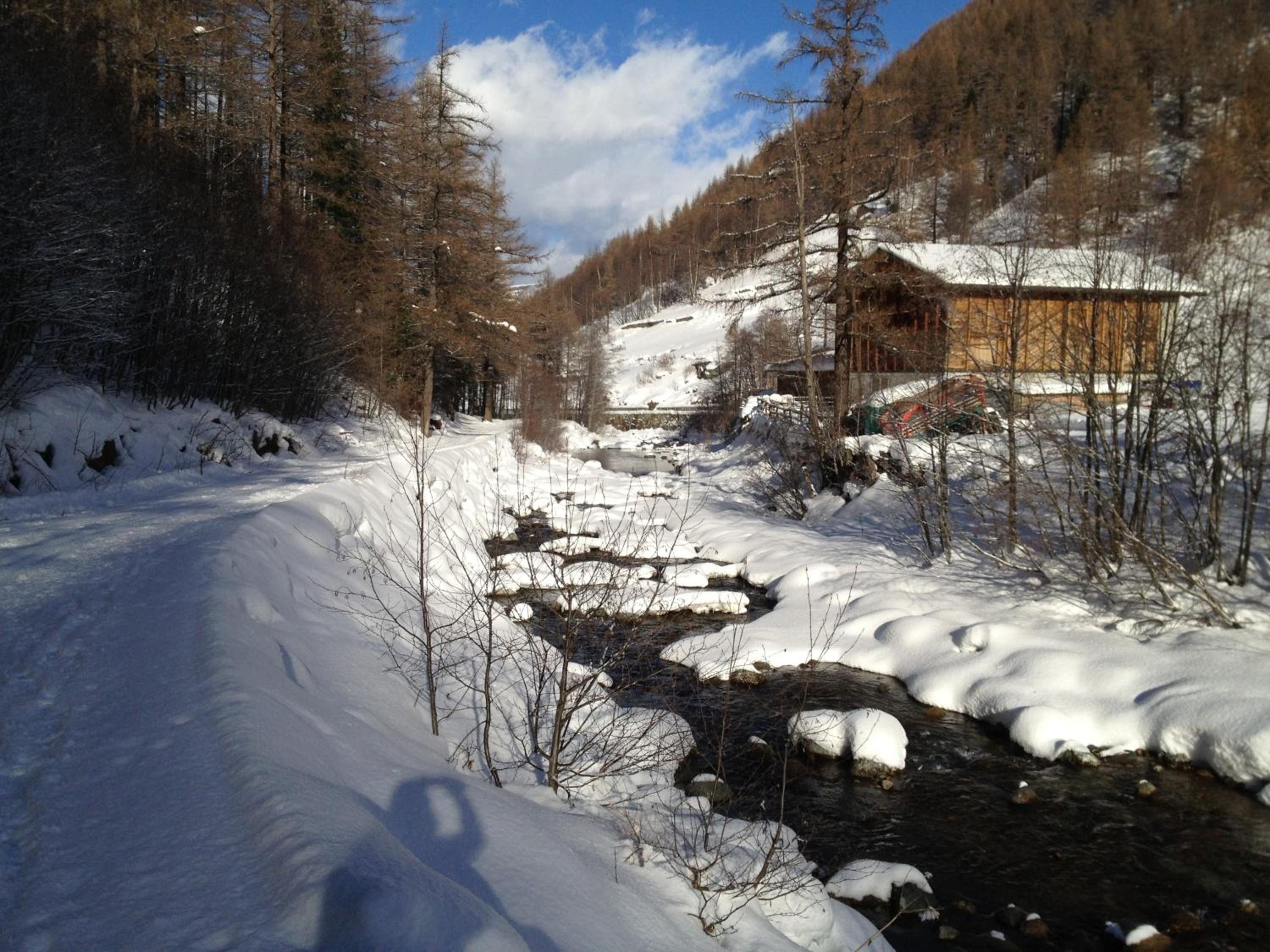 Photo 23