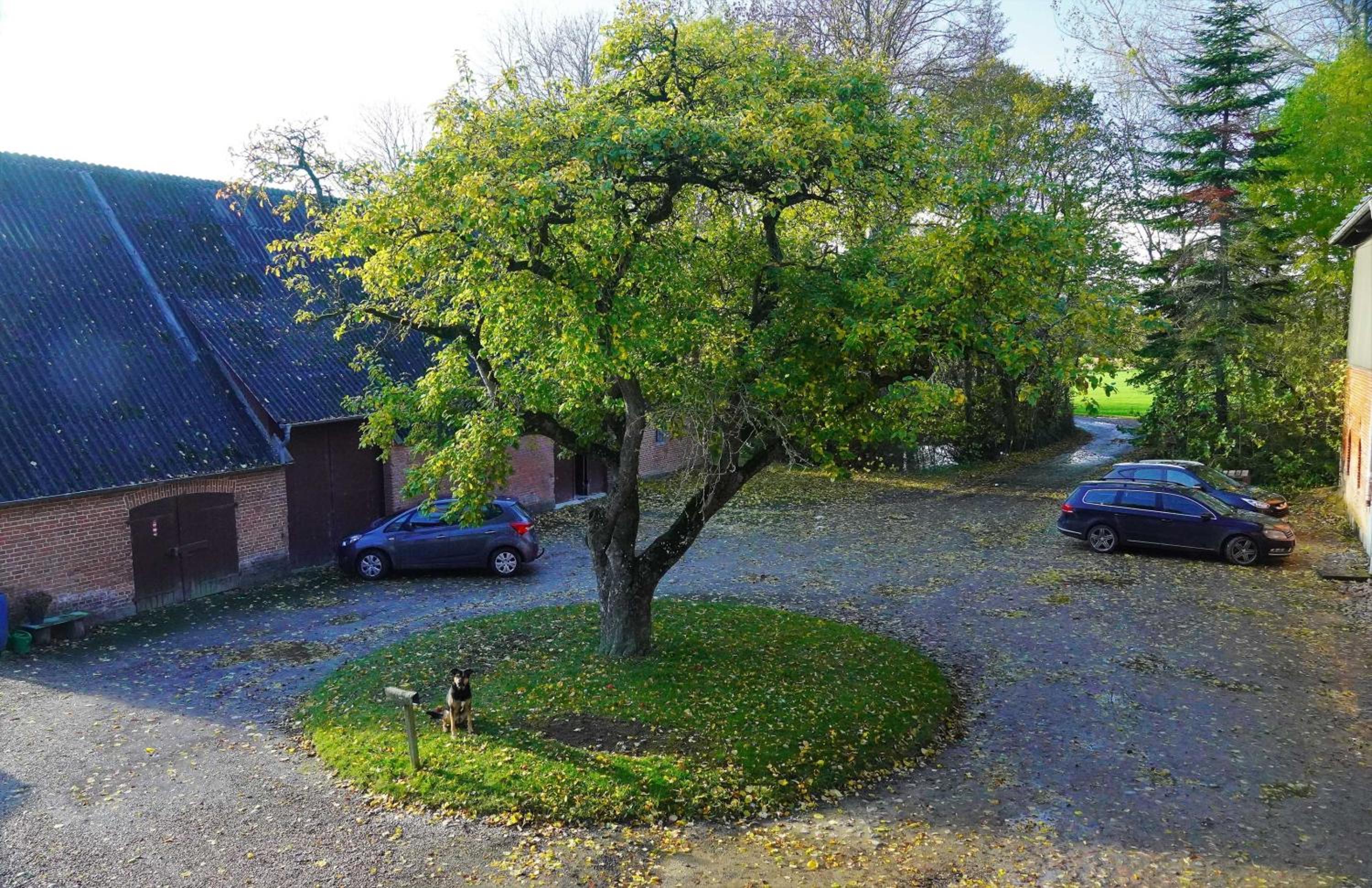 Ferienhof Johannsen Ferienwohnung Hofblick
