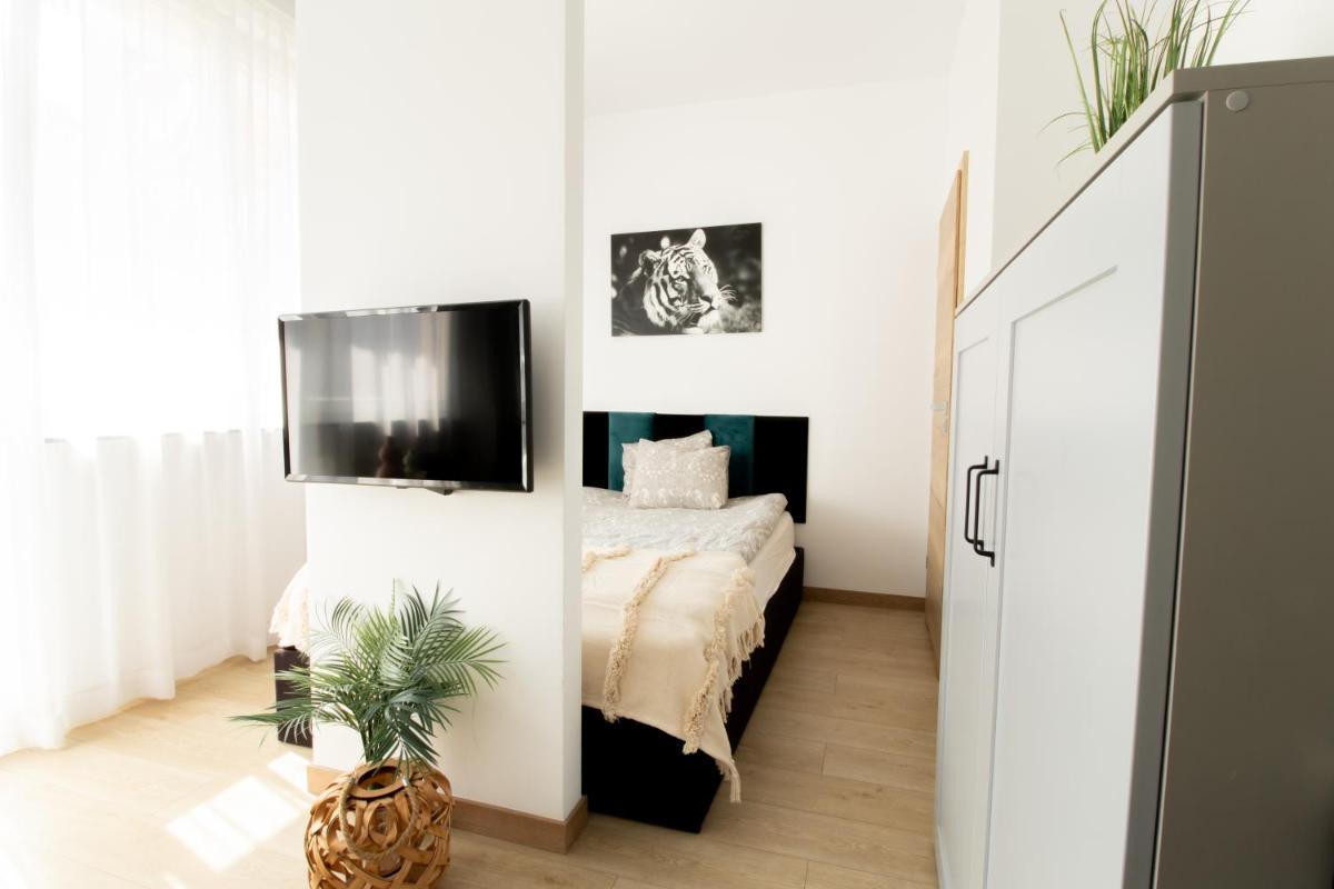 PiotrApartments Luxury Apartments in City Centre view 4
