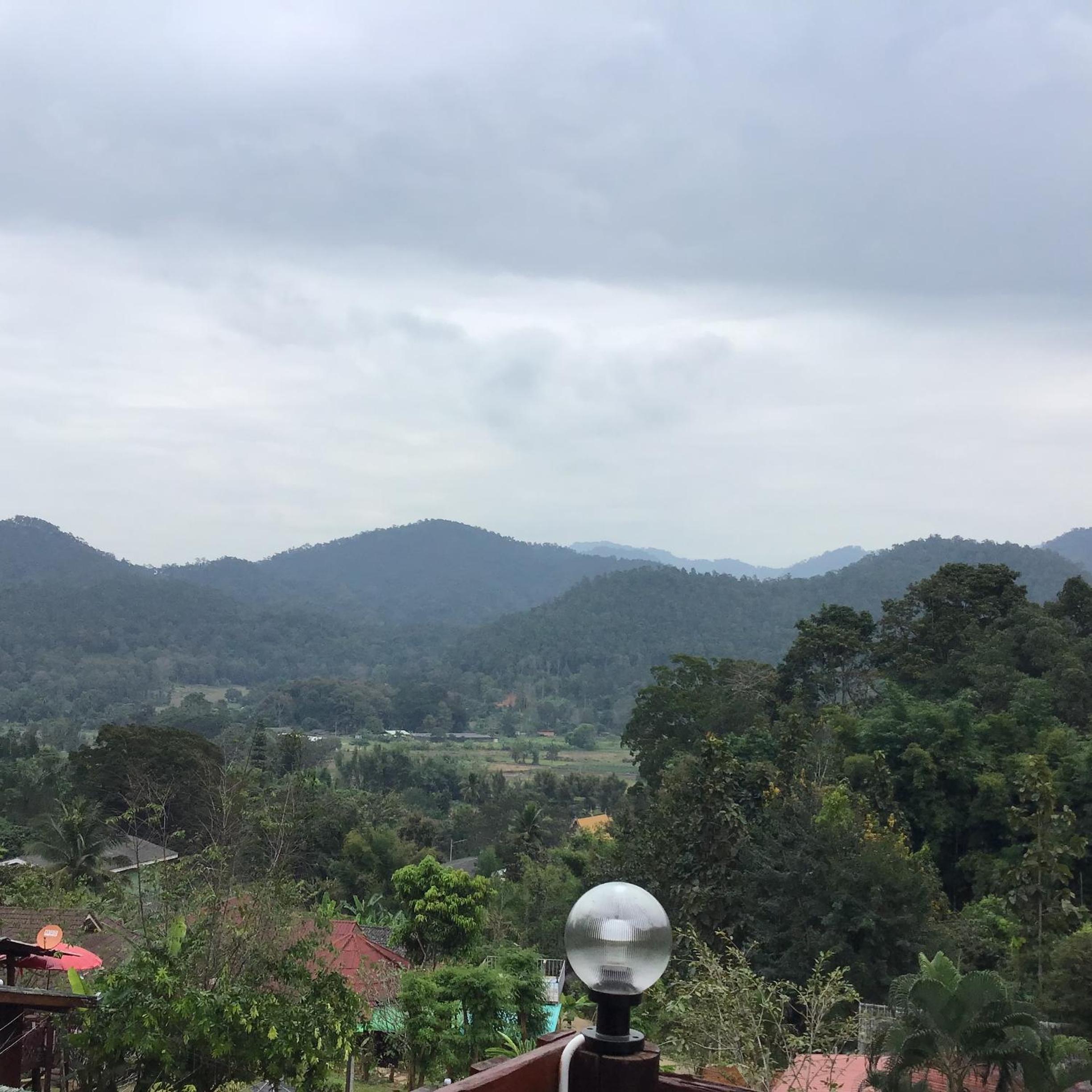 Forest Guesthouse