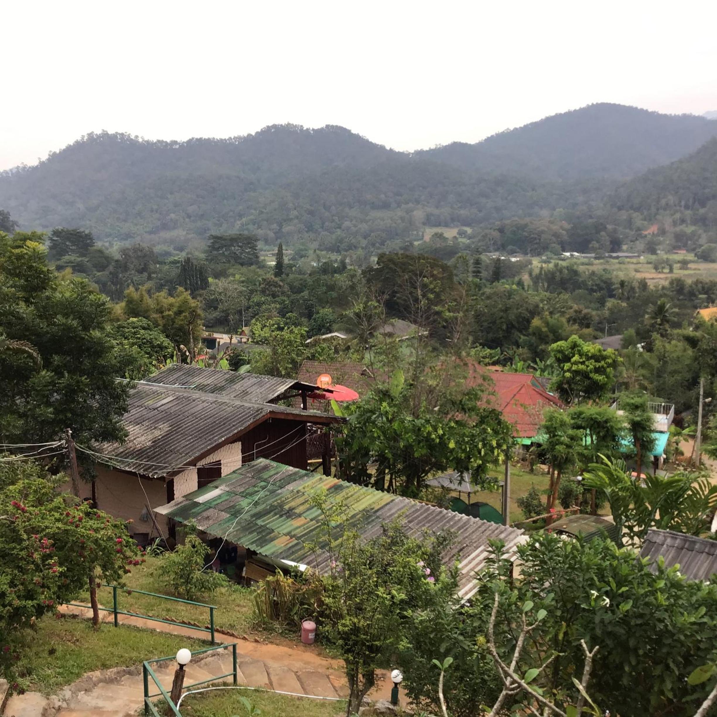 Forest Guesthouse