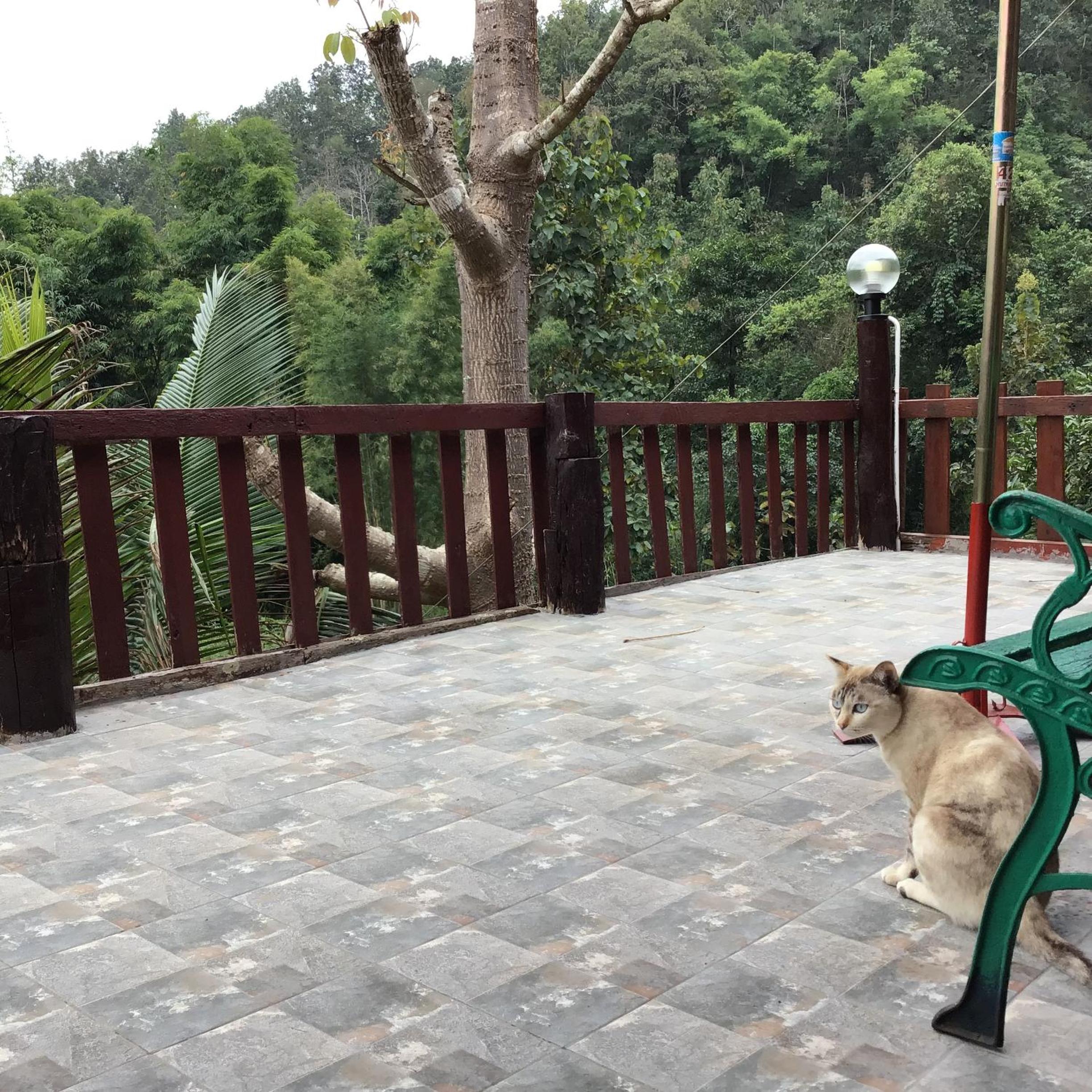Forest Guesthouse