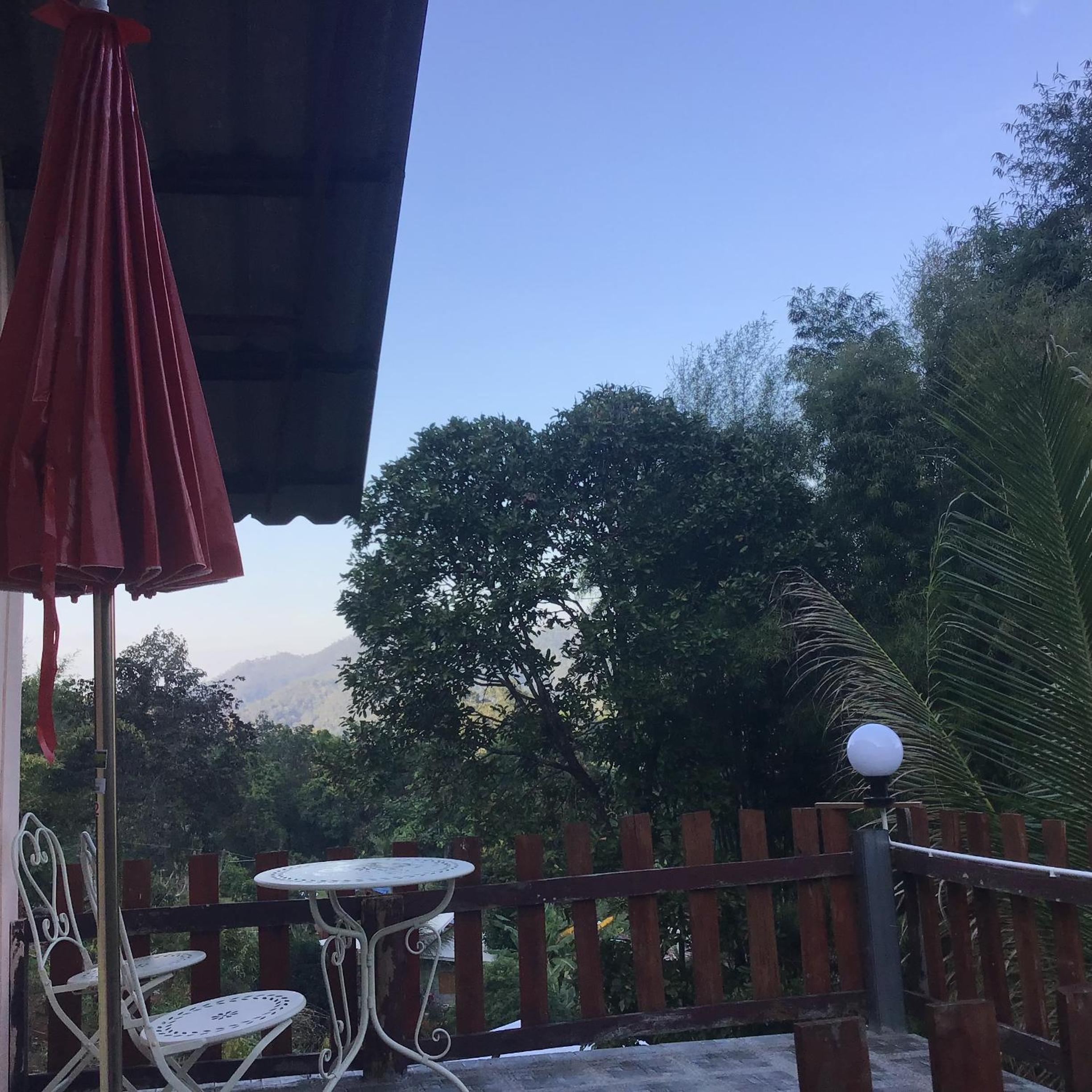 Forest Guesthouse
