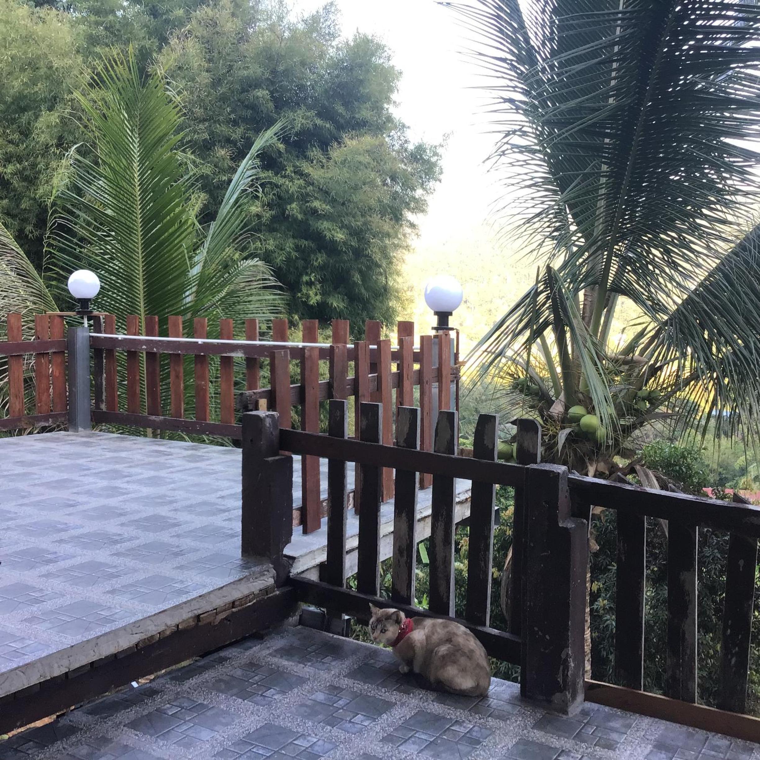 Forest Guesthouse