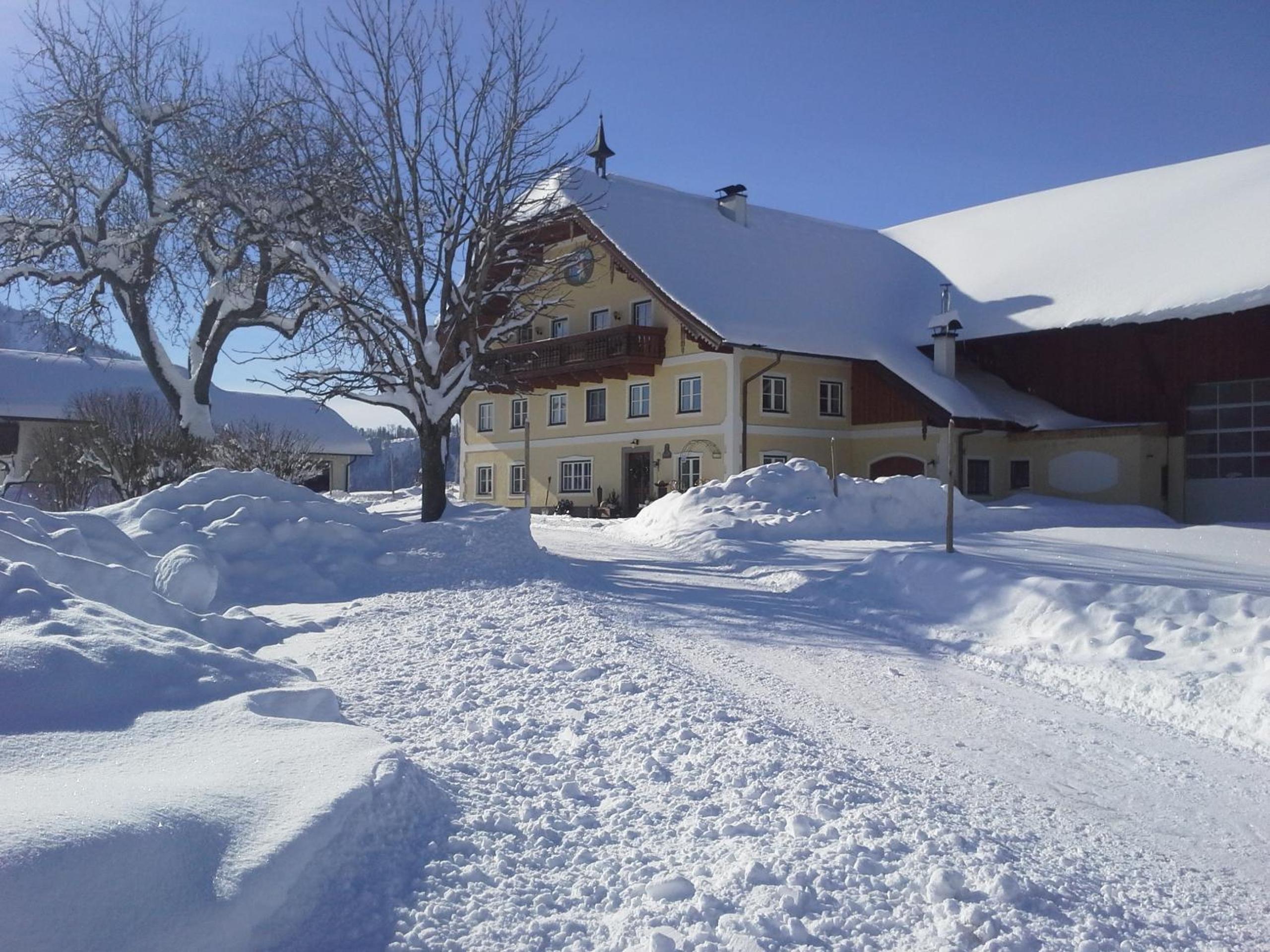 Photo 22