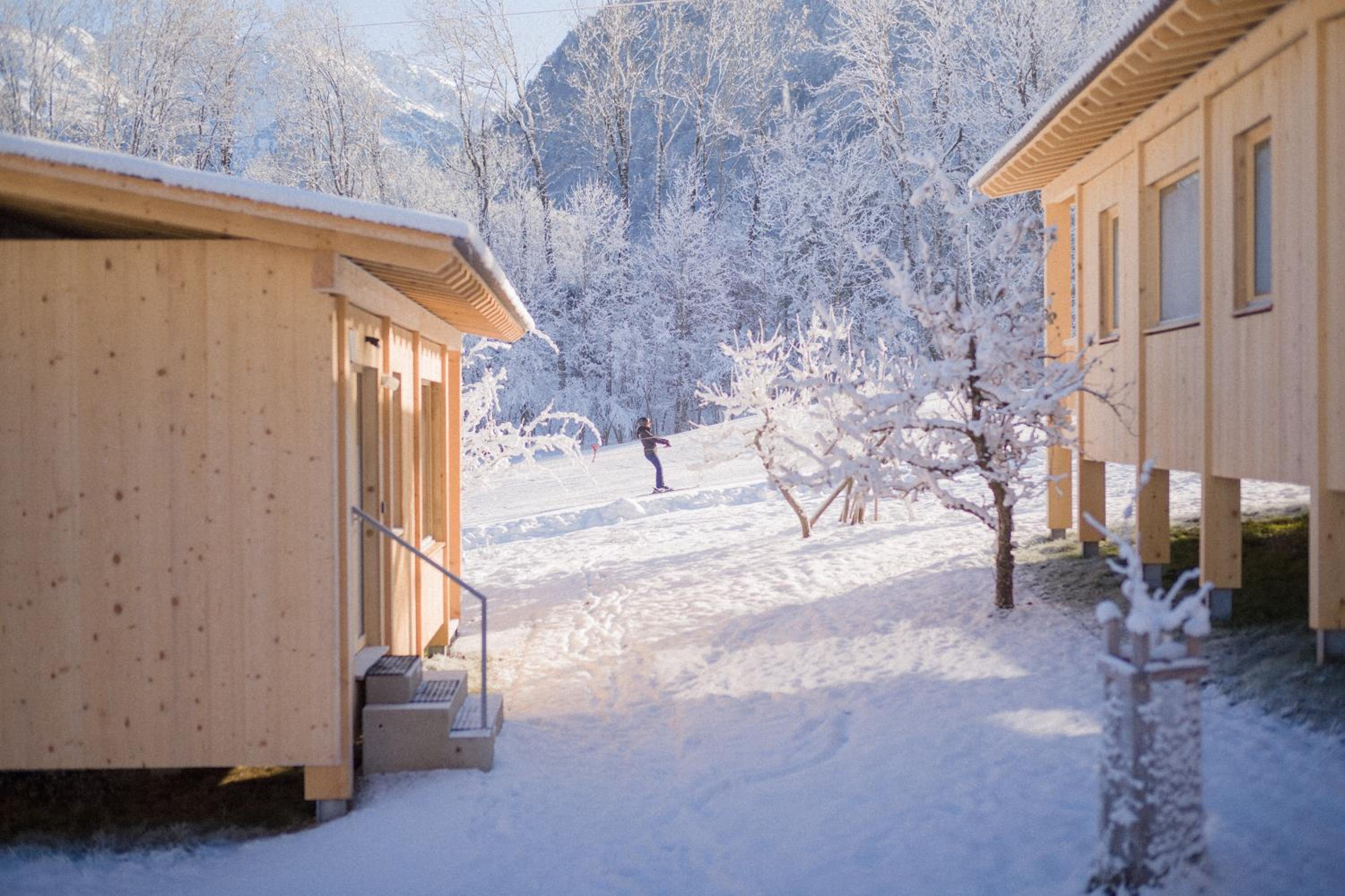 Pinjola