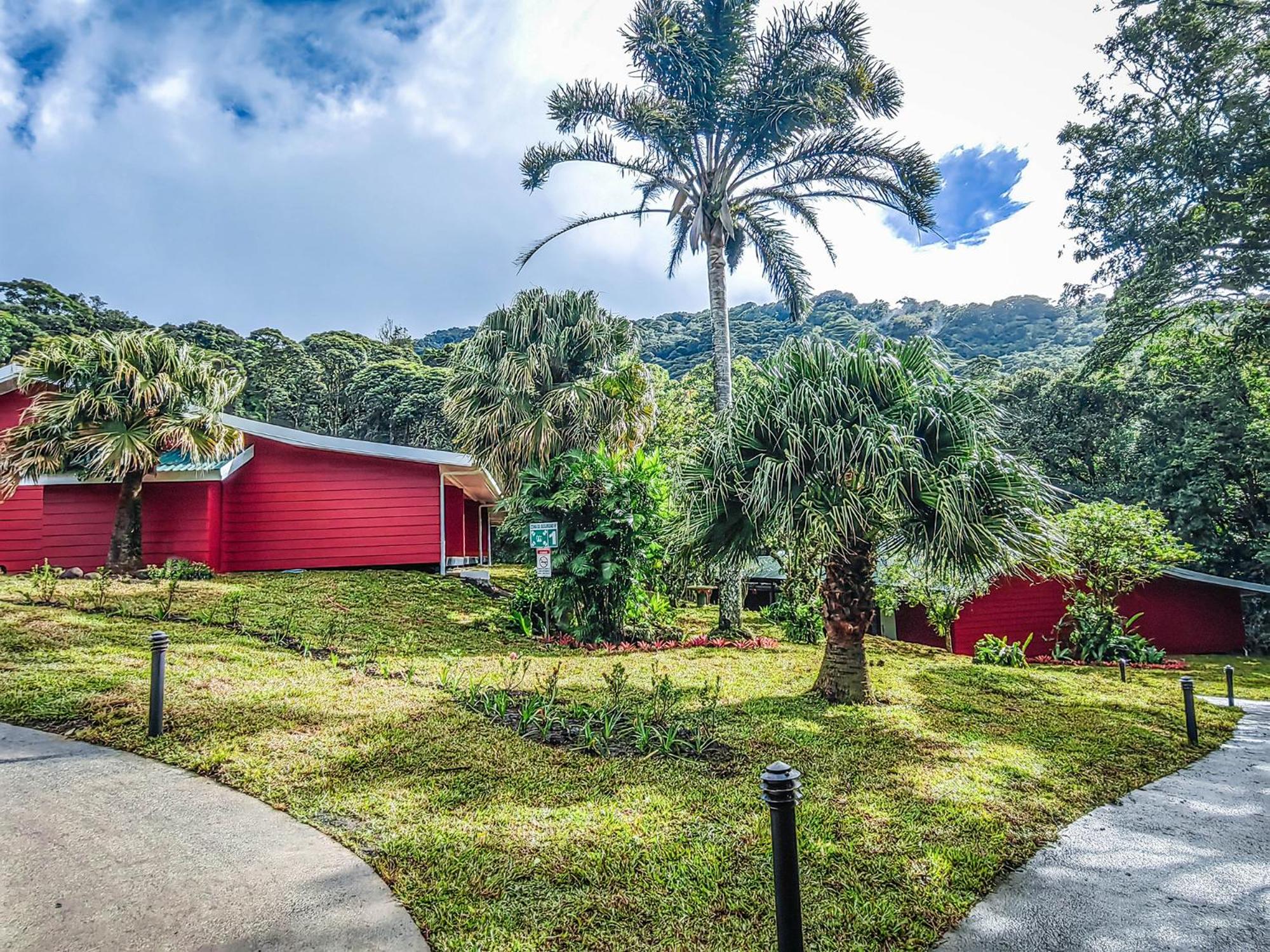 Cloud Forest Lodge