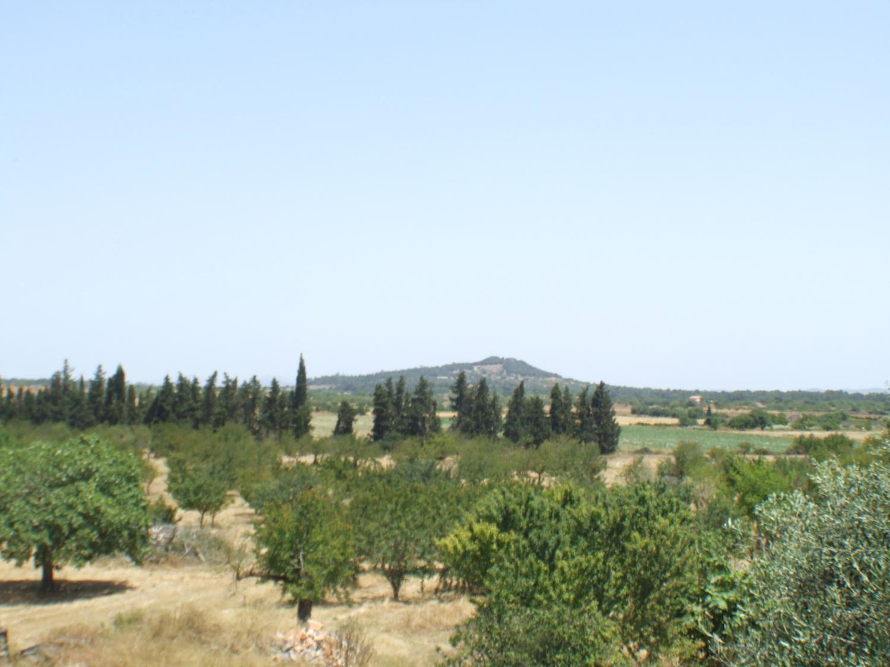 Photo 24