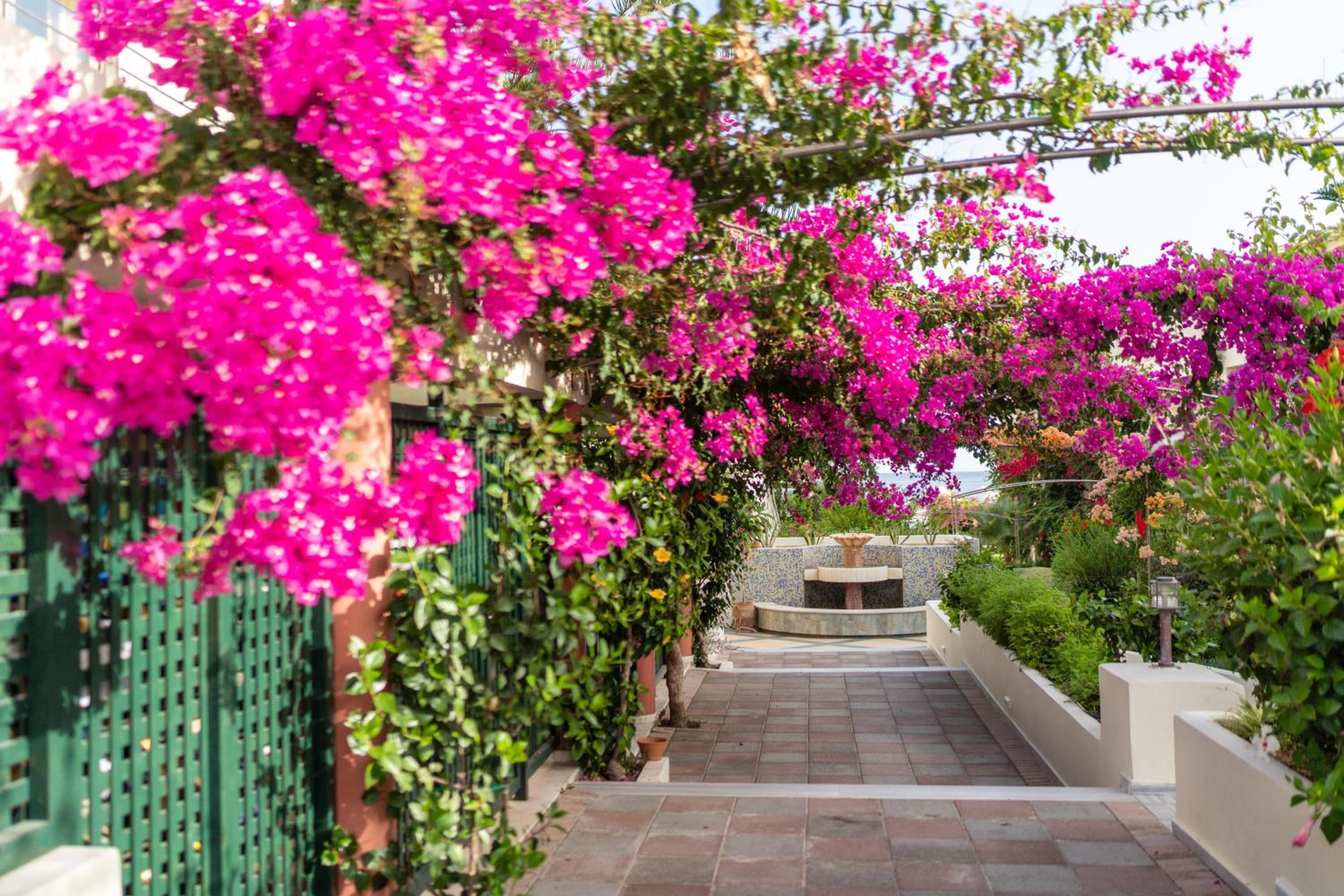 Hydramis Palace Beach Resort
