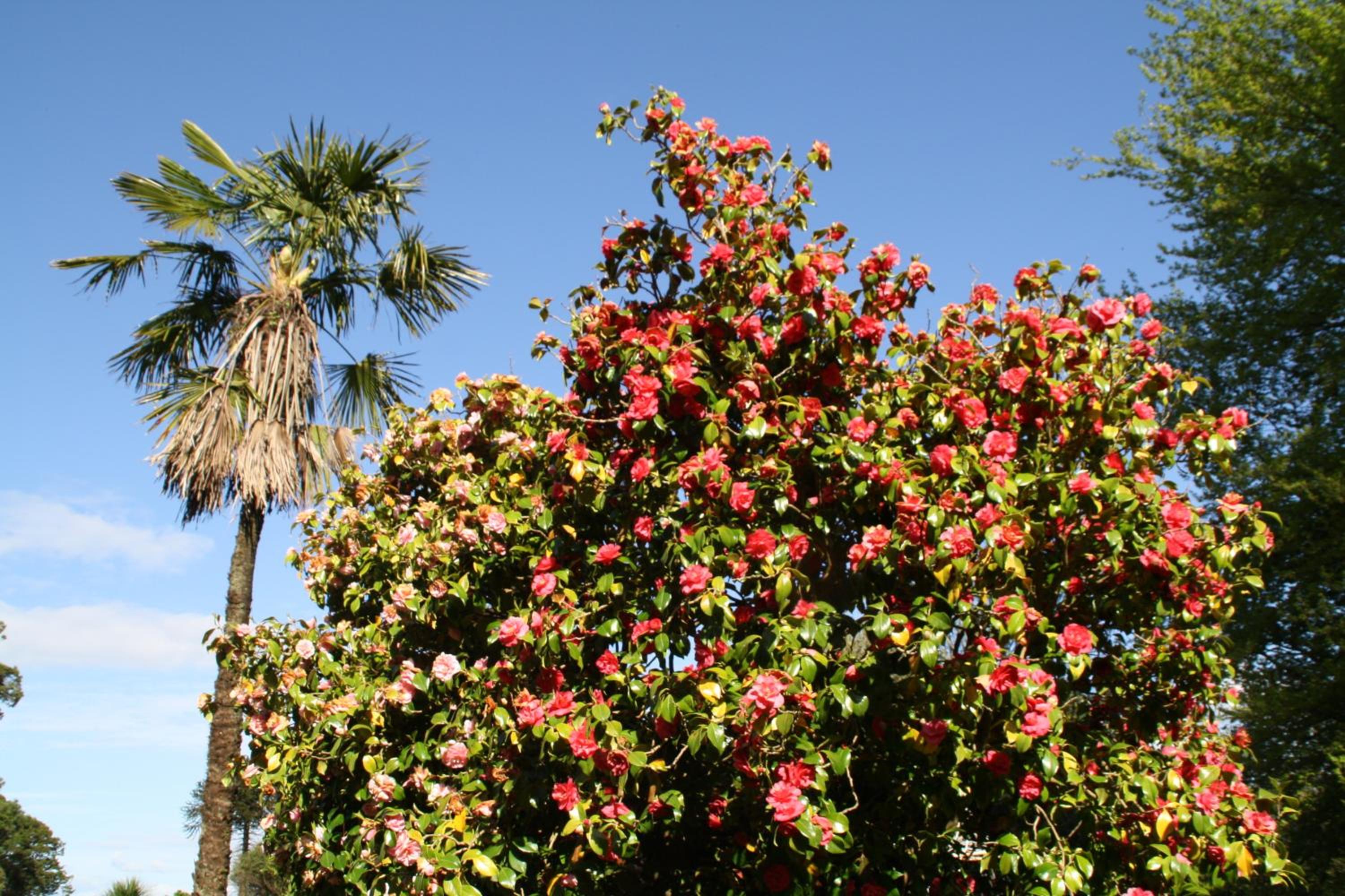 Maranatha Country House view 4