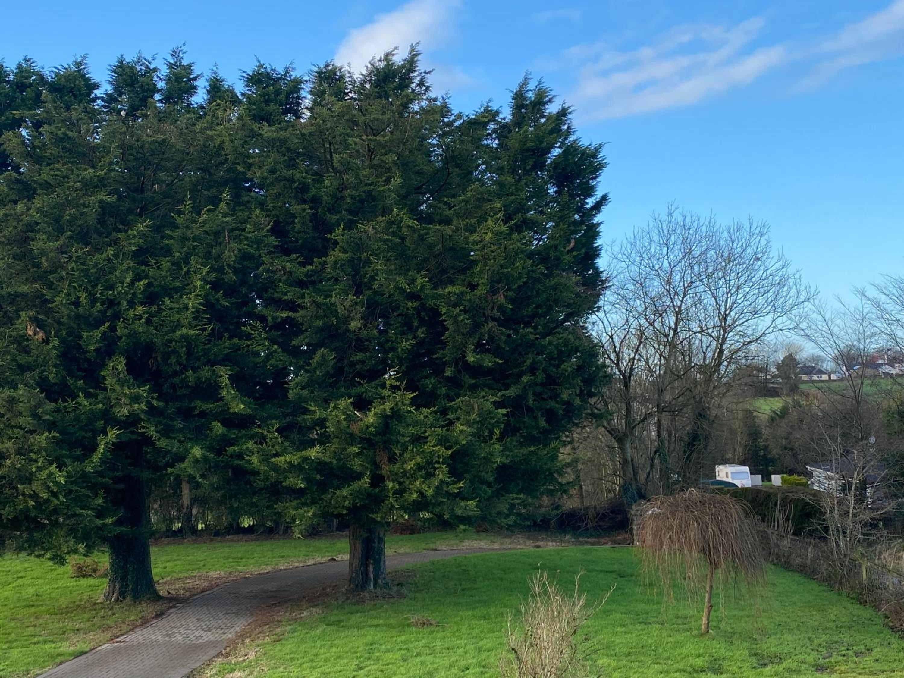 other