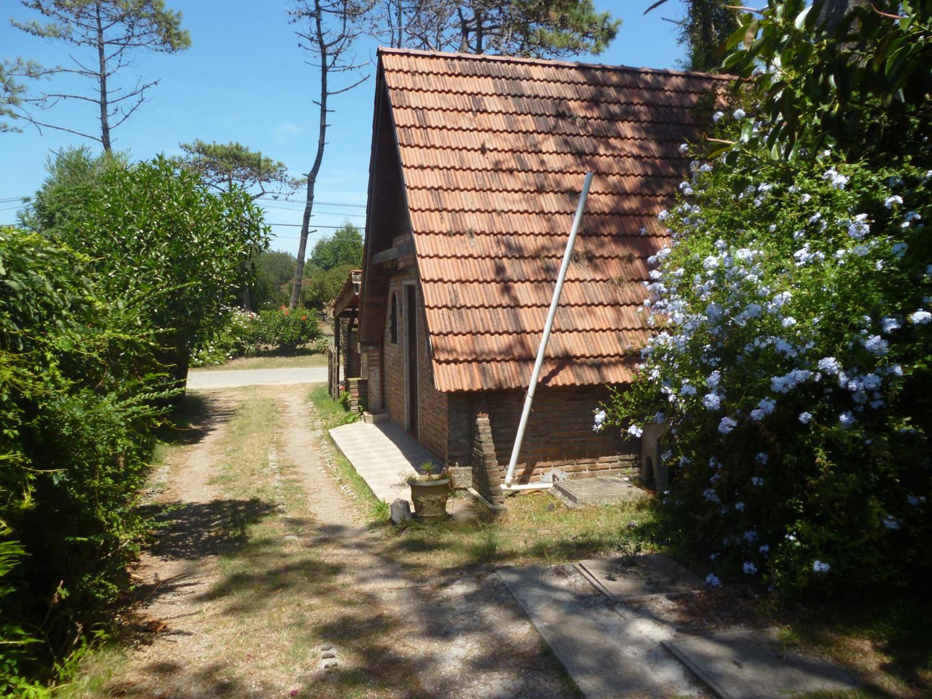 Photo 48
