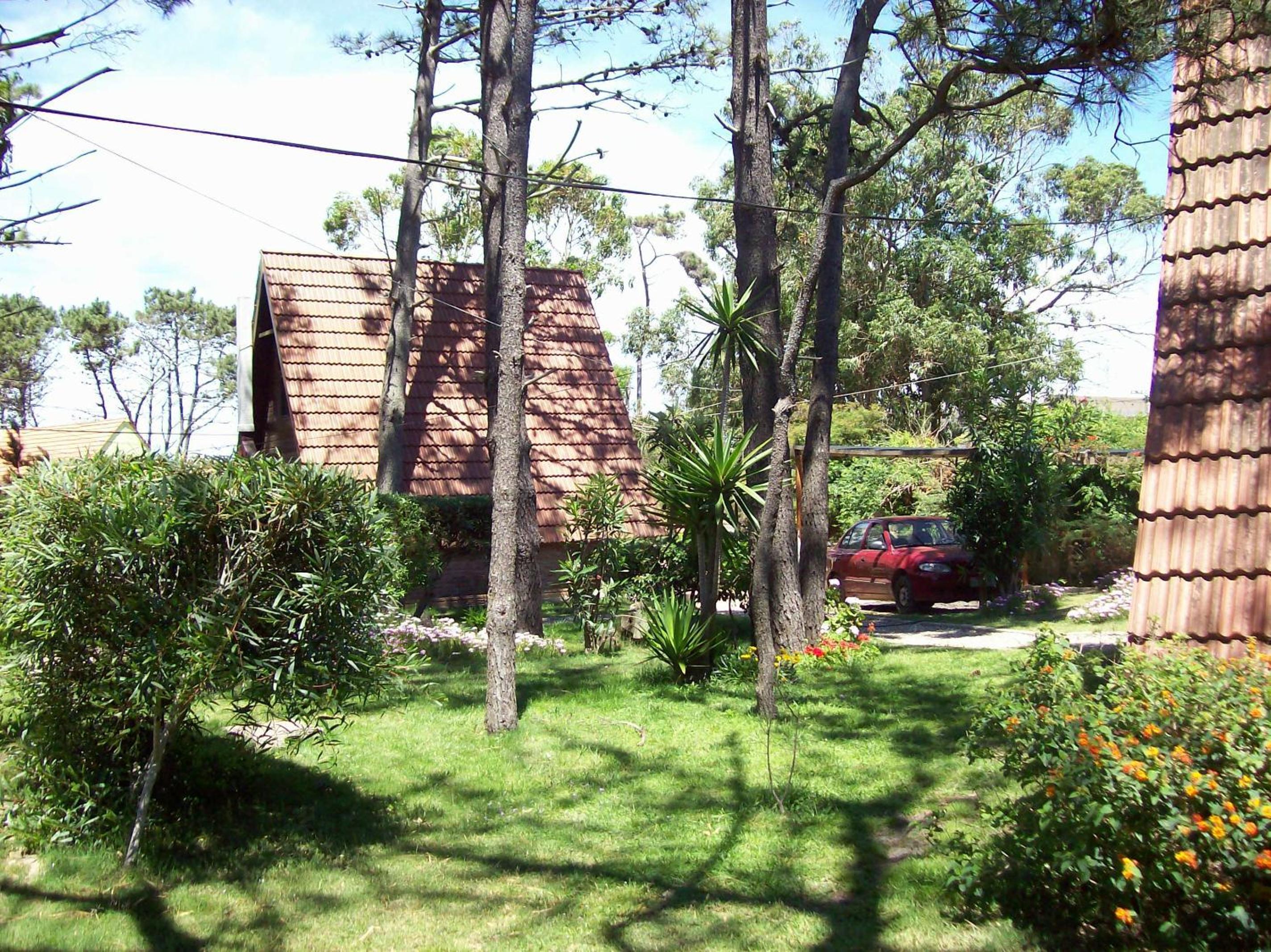 Photo 57