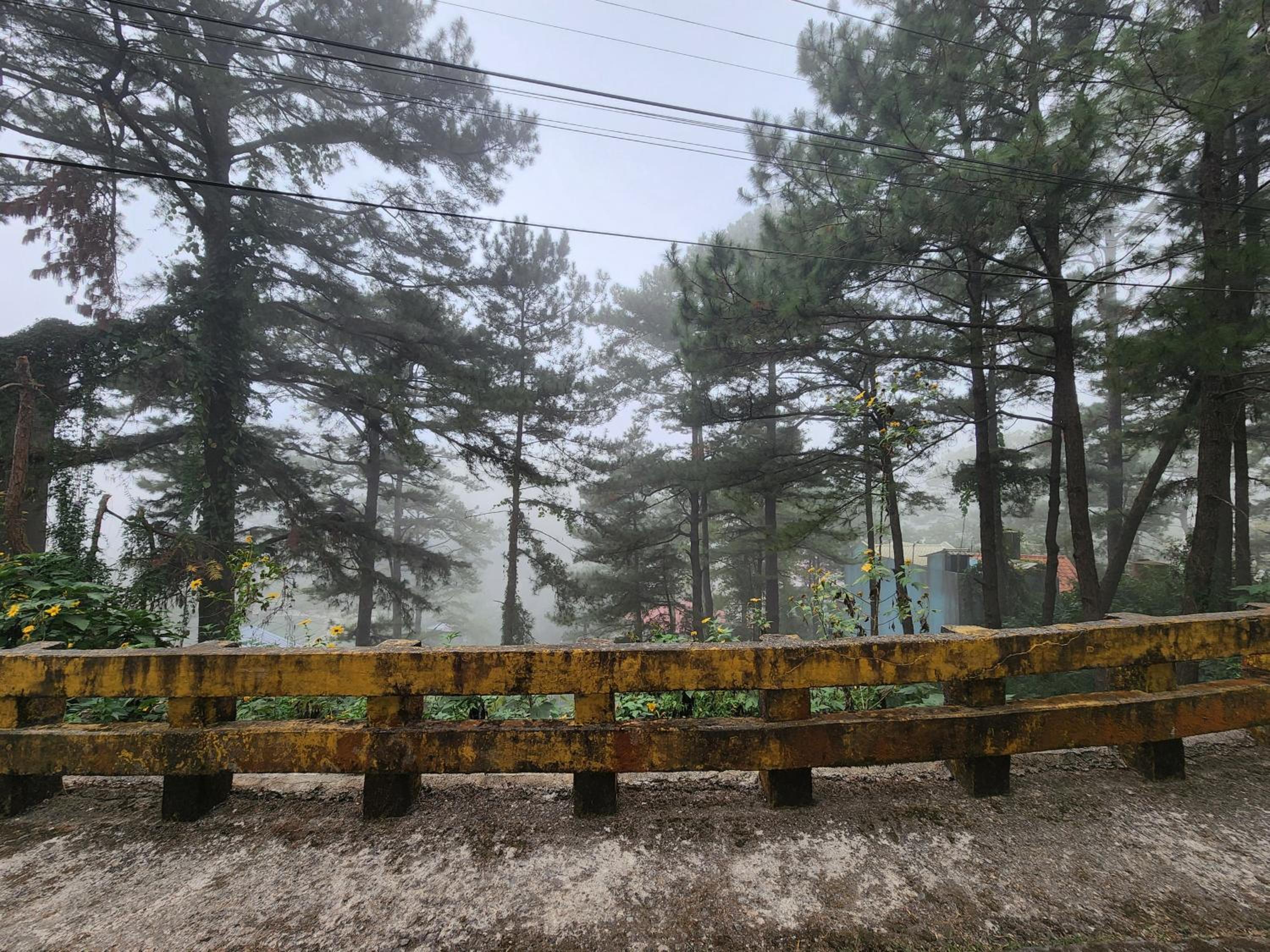 Baguio Hillside Haven