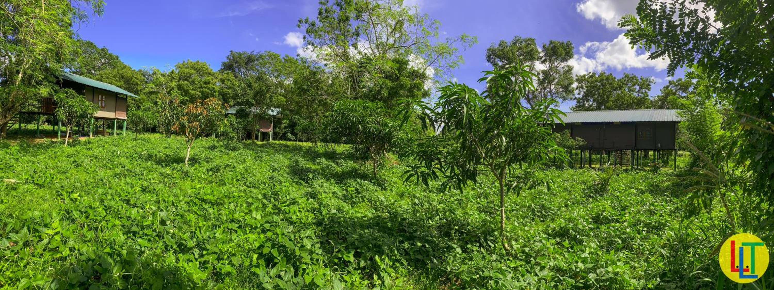 mango villa wilpattu