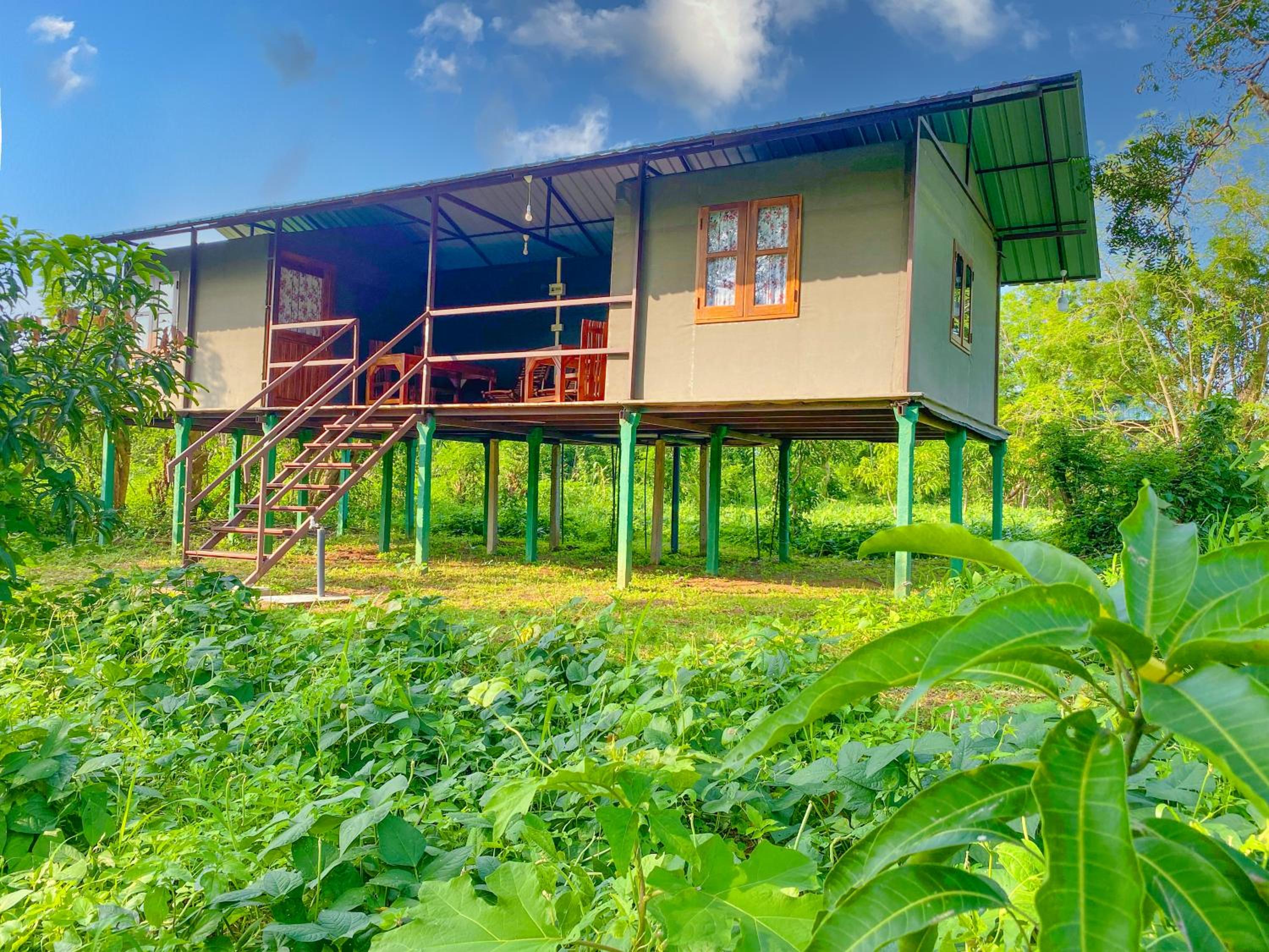 mango villa wilpattu