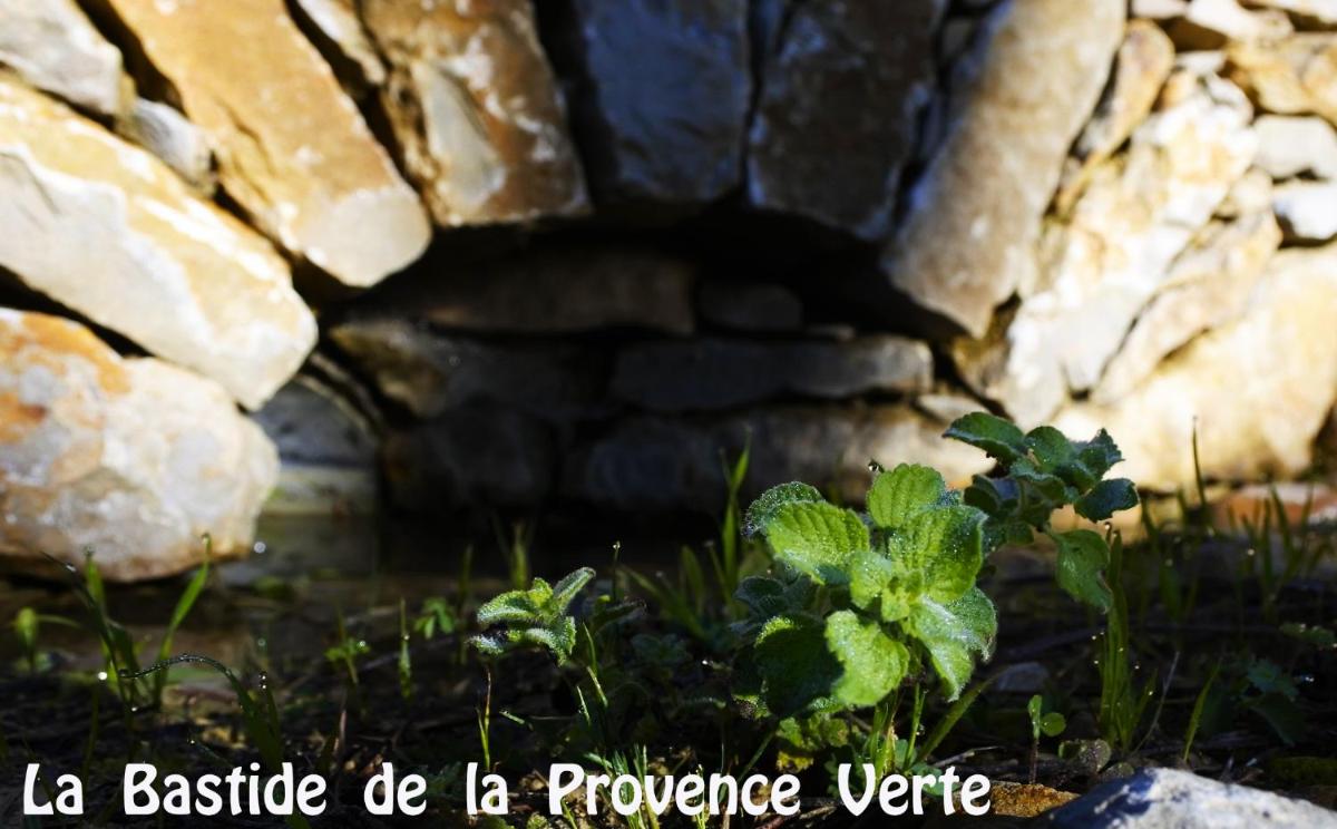 La Bastide de la Provence Verte