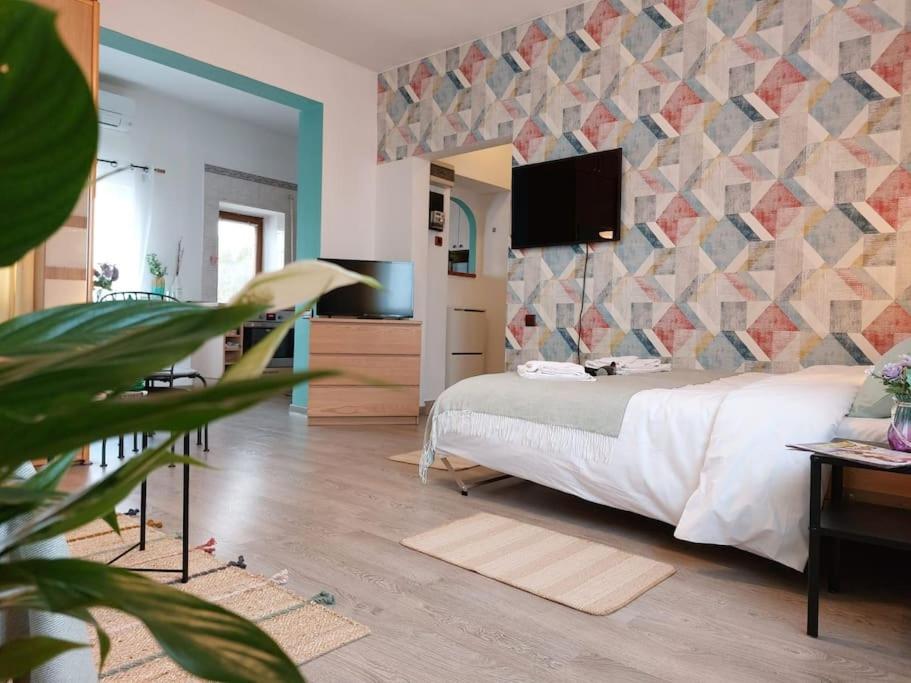 Sweet Dreams Suites Panoramic Studio Zodiac Dorobanti view 5