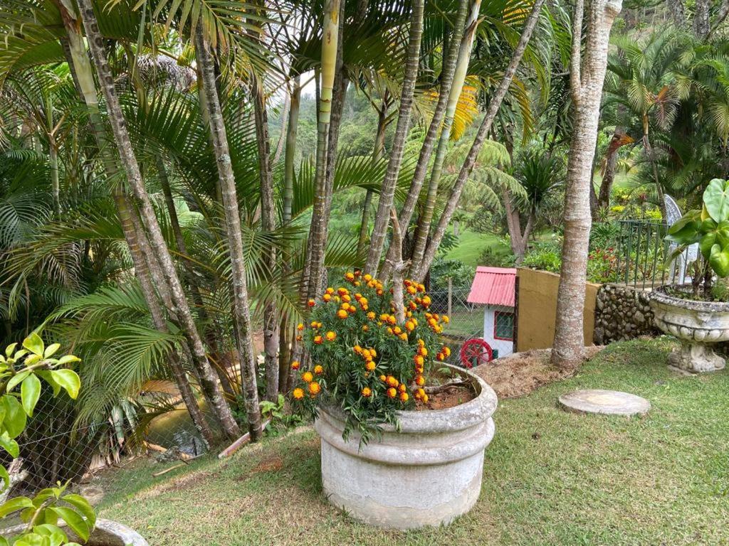 Quinta da Pedra do Elefante