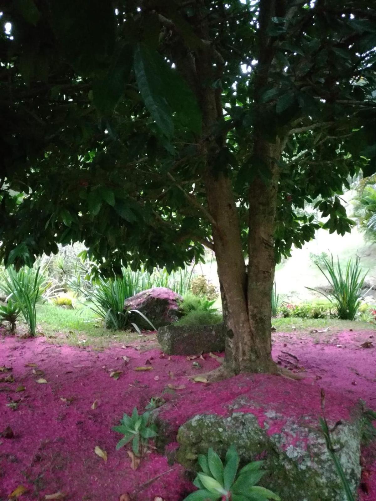 Quinta da Pedra do Elefante
