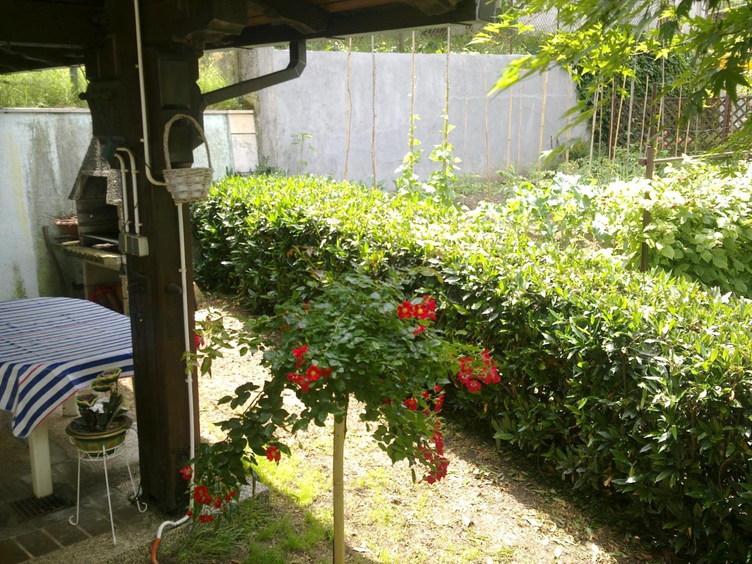 Photo 33
