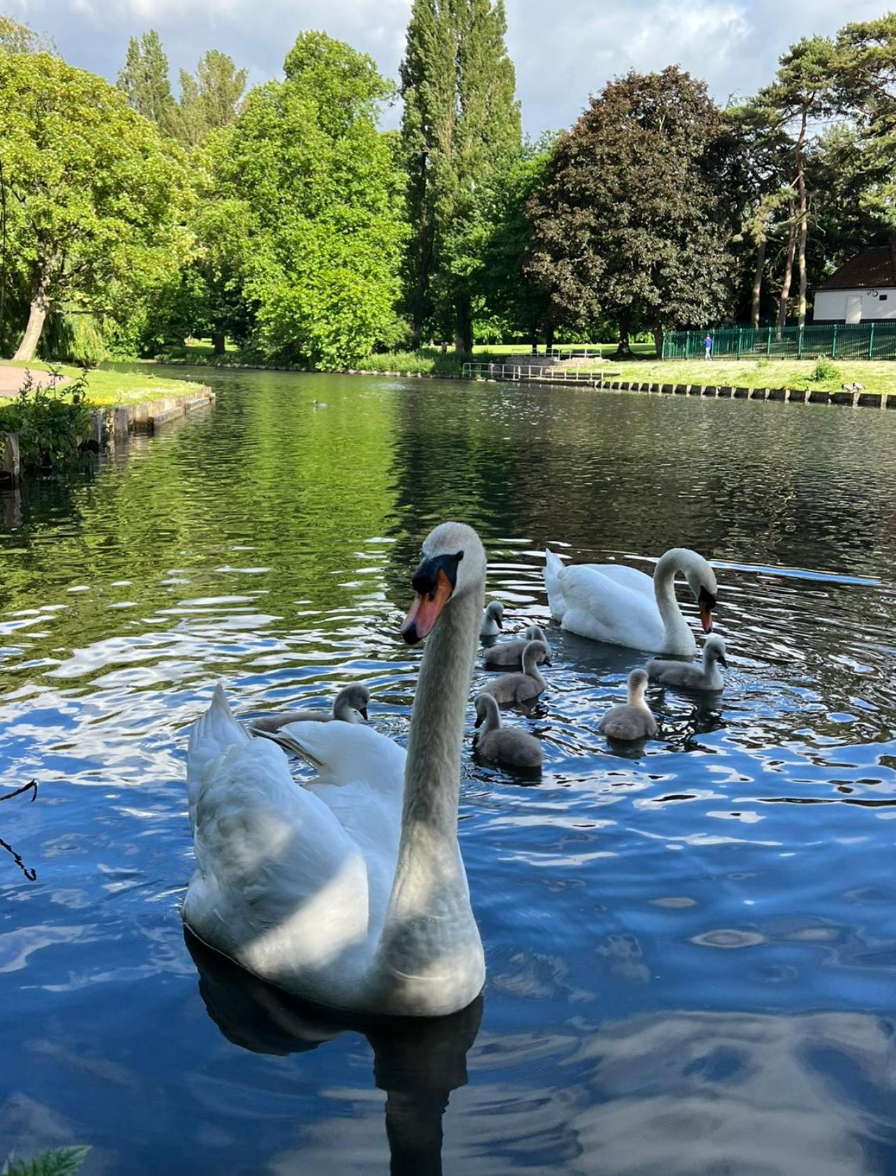 Beddington Park Lodge West