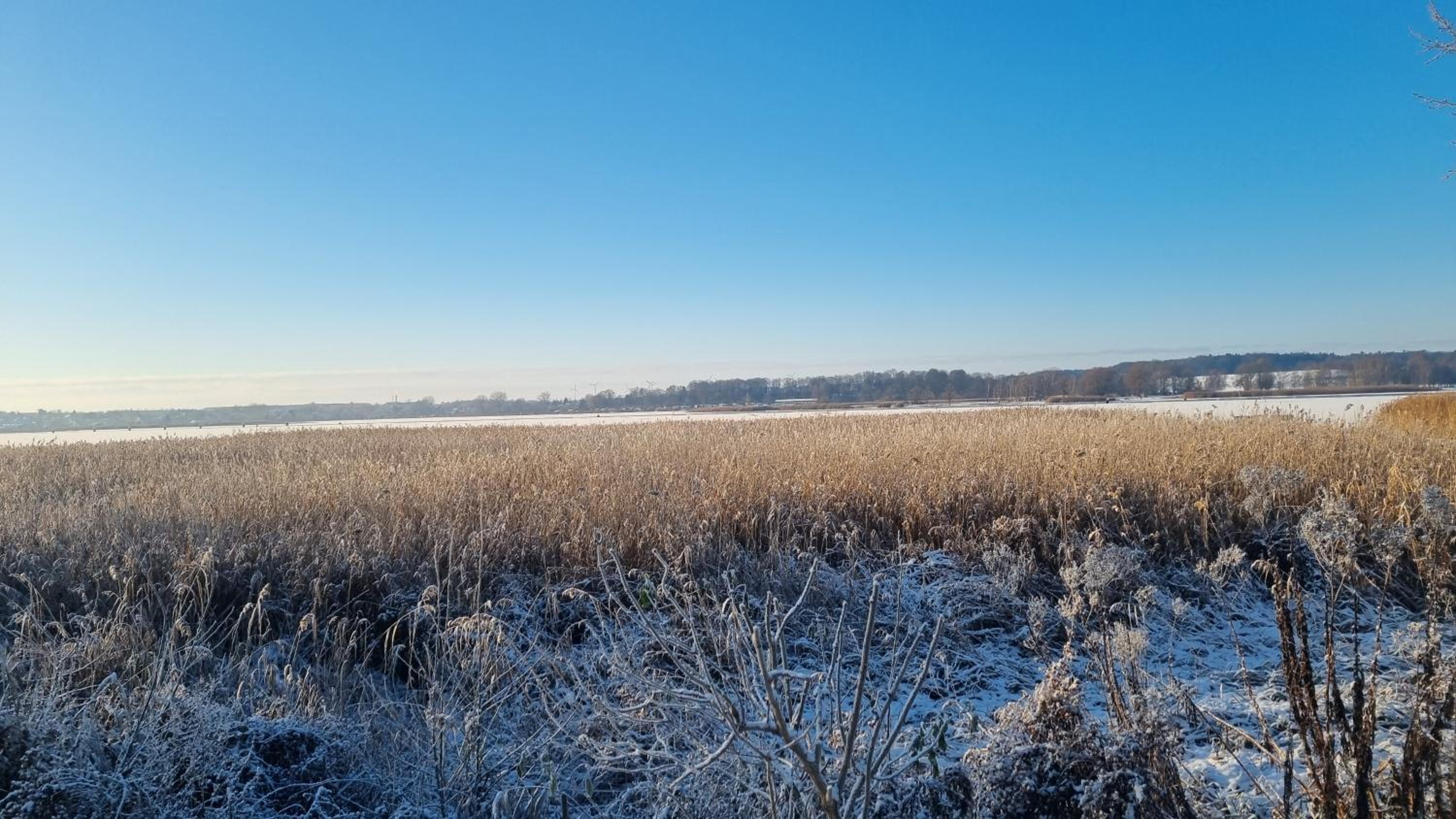 Fewo Usedom Peene Idyll