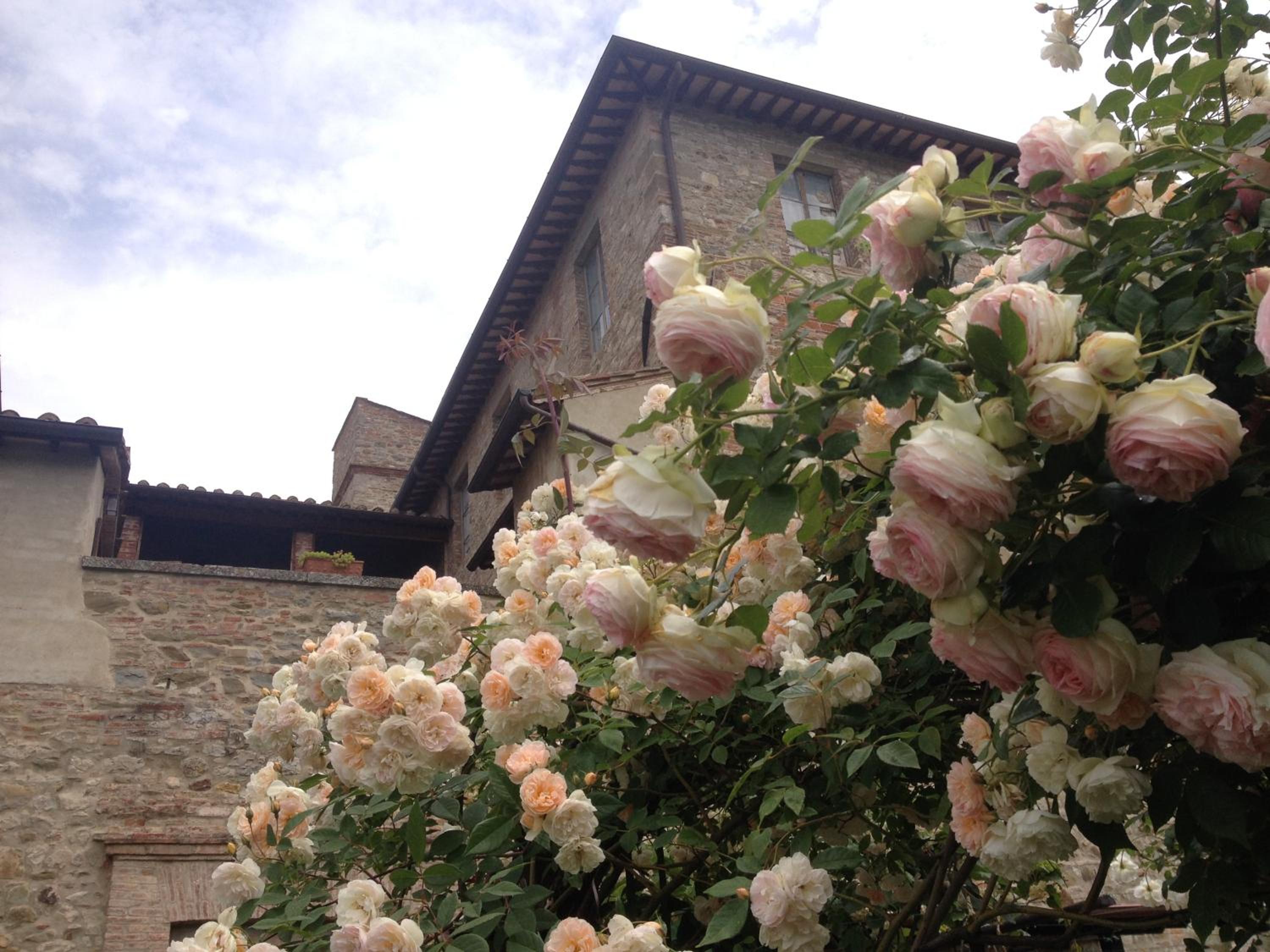 Abbazia Sette Frati Agriturismo Fratres