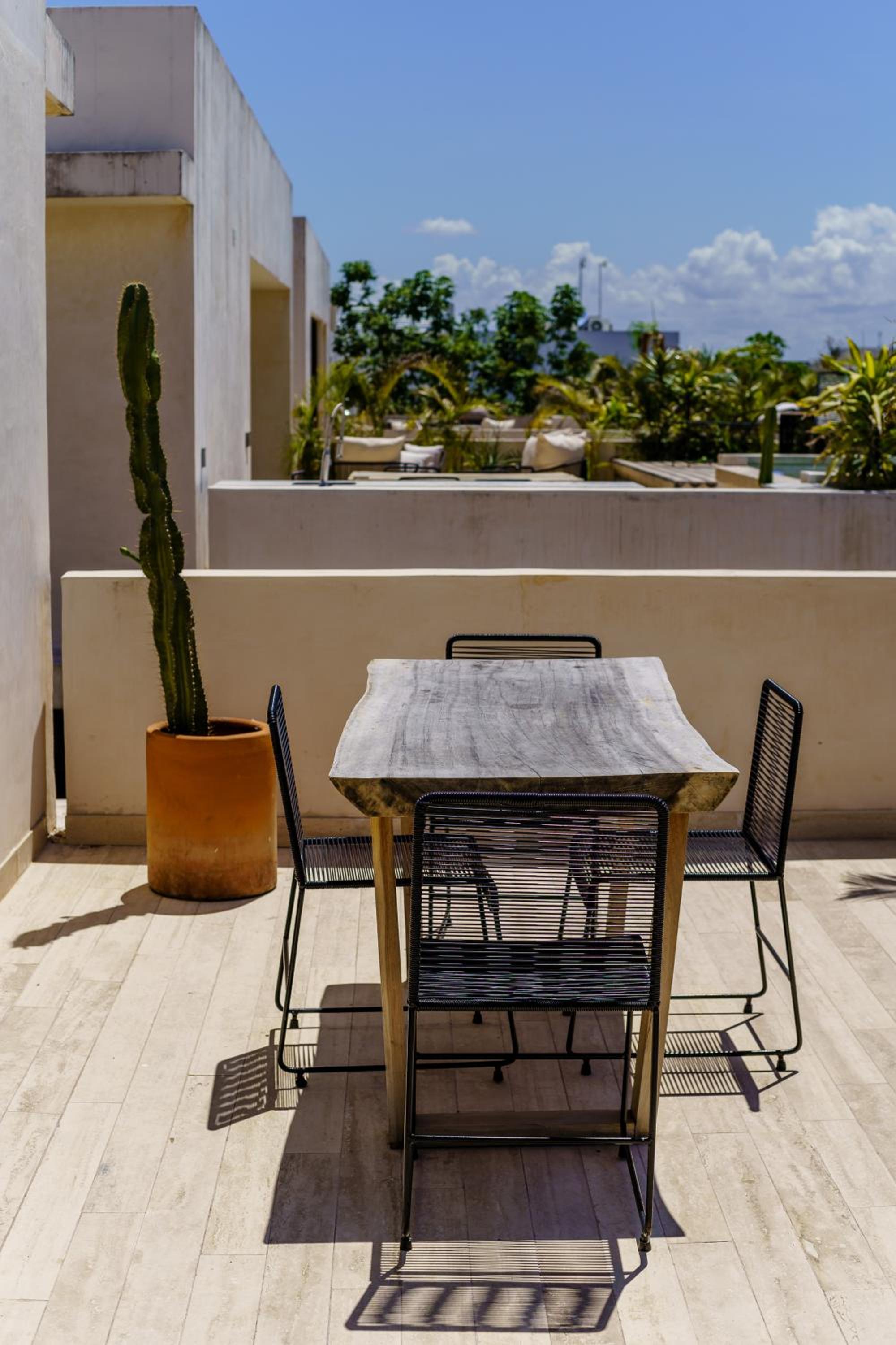 balance & terrace