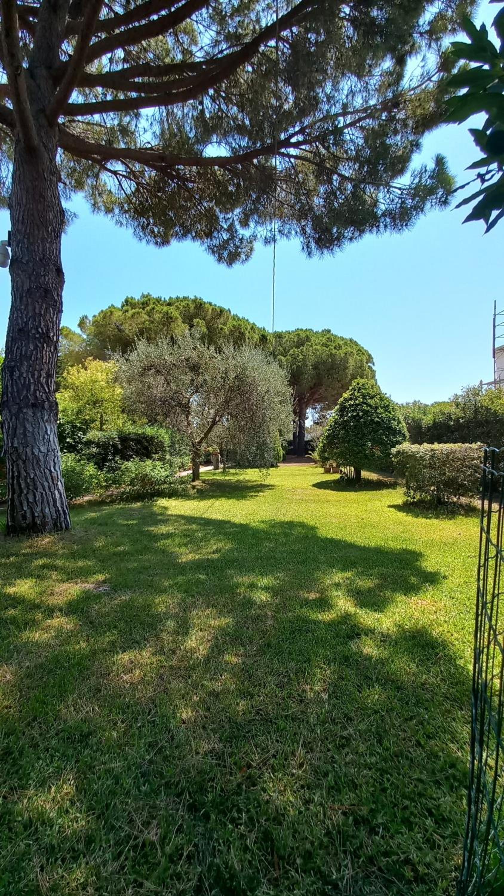 casaisoladelba immersa nel verde a 80mt dalla spiaggia view 2