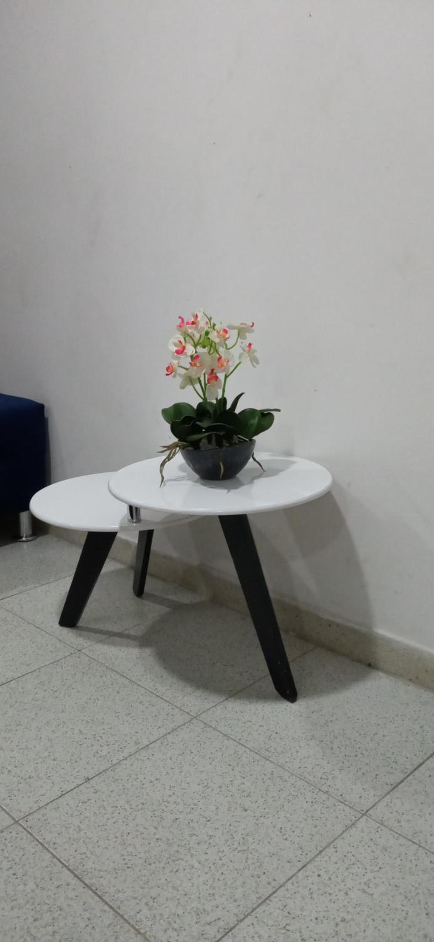 Photo 27