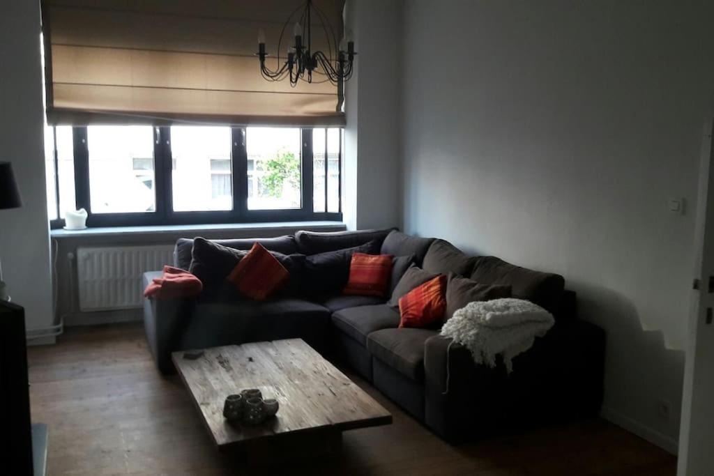 charming house with 3 bedrooms & terrace 10 minutes from city centre