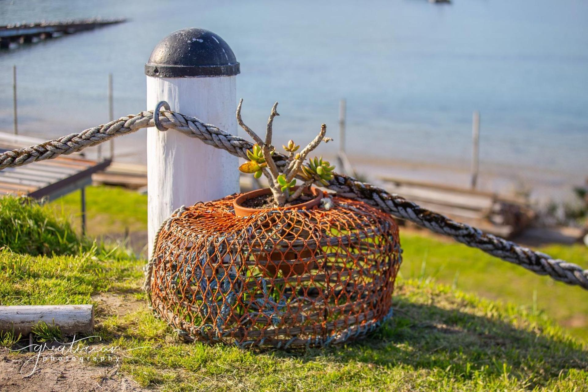 Oceans 8