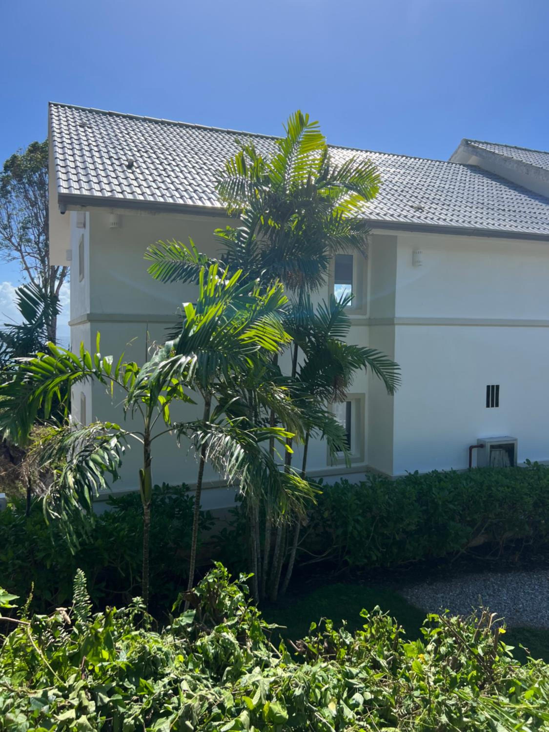 Hotel Vista Mare Samana Amazing Views!! - Image 1