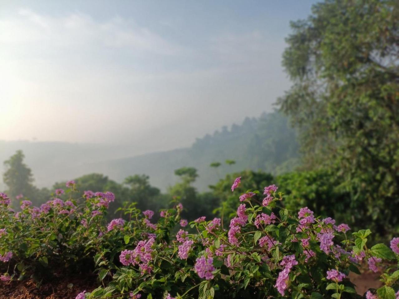 Song Trân House view 3