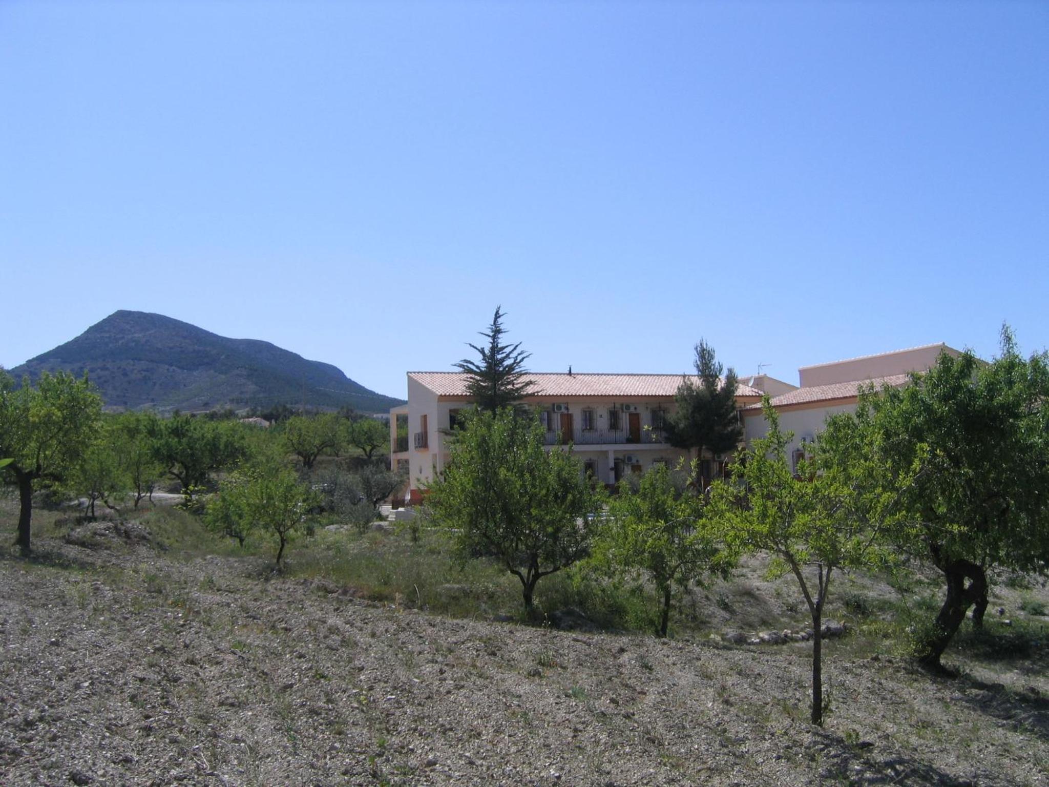 Photo 8