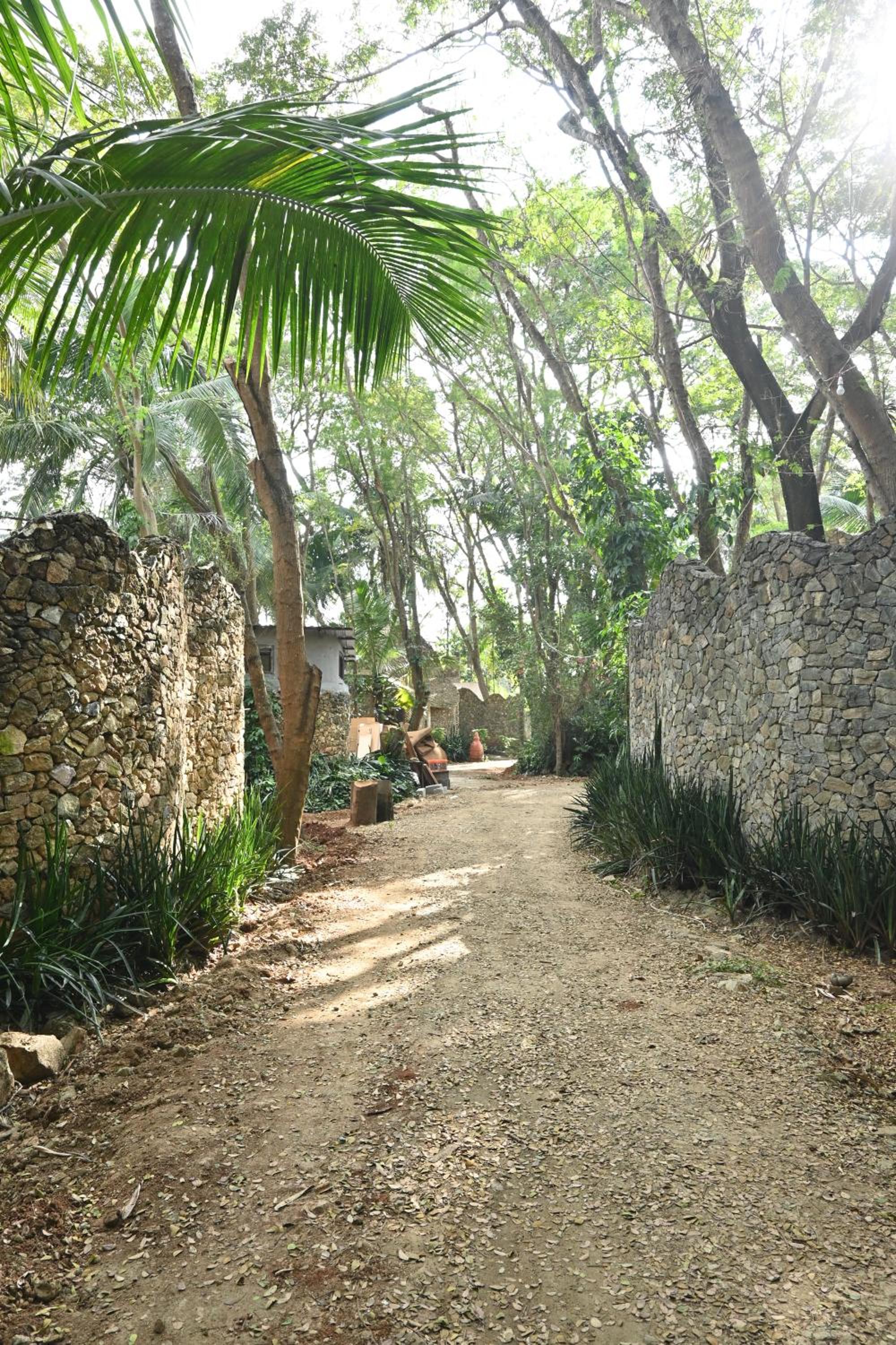 Photo 22