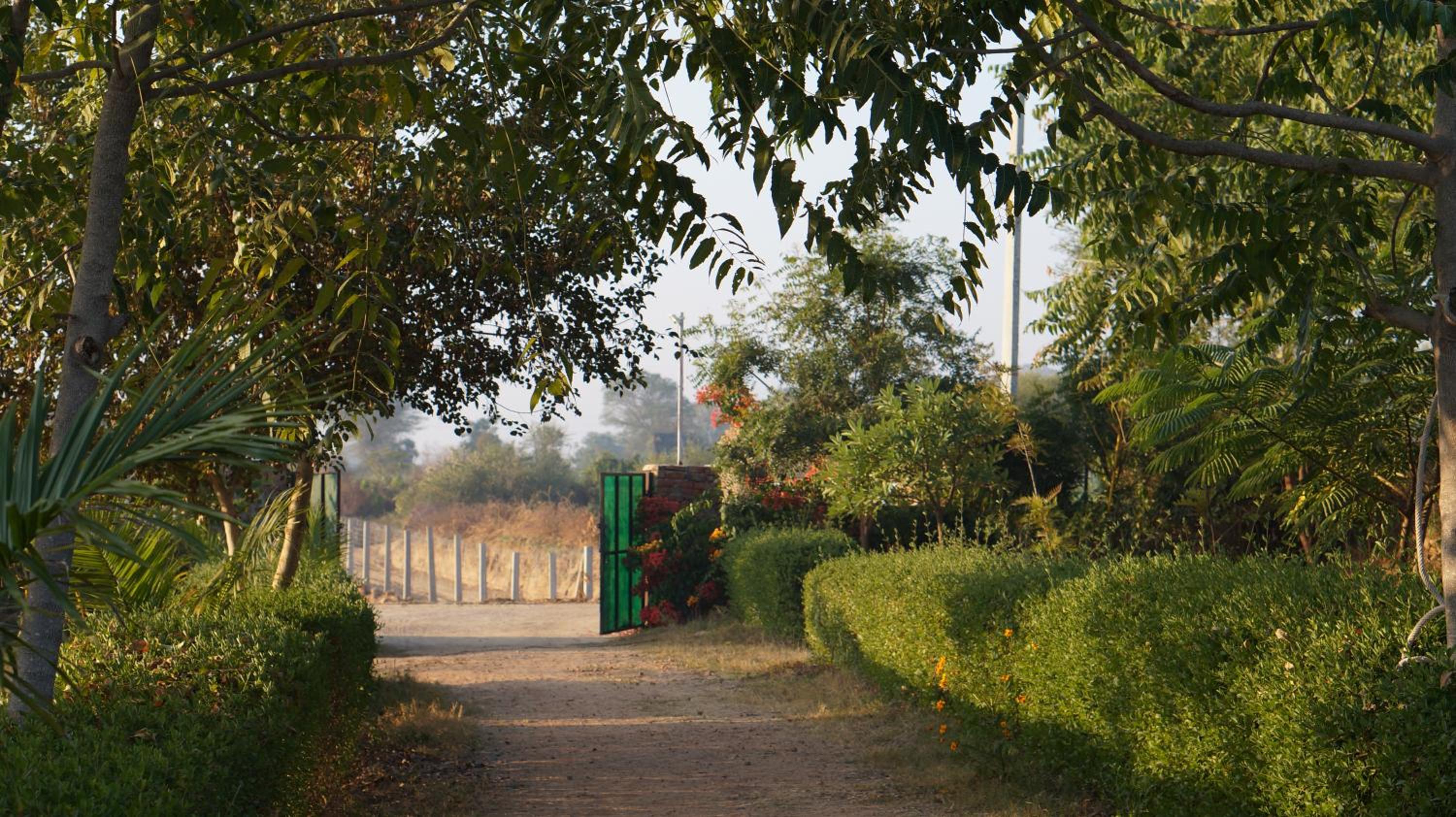 Hotel Wow - Relish in the Wild, Lakeside location, Nearest to Sariska Entry Gate 10KM