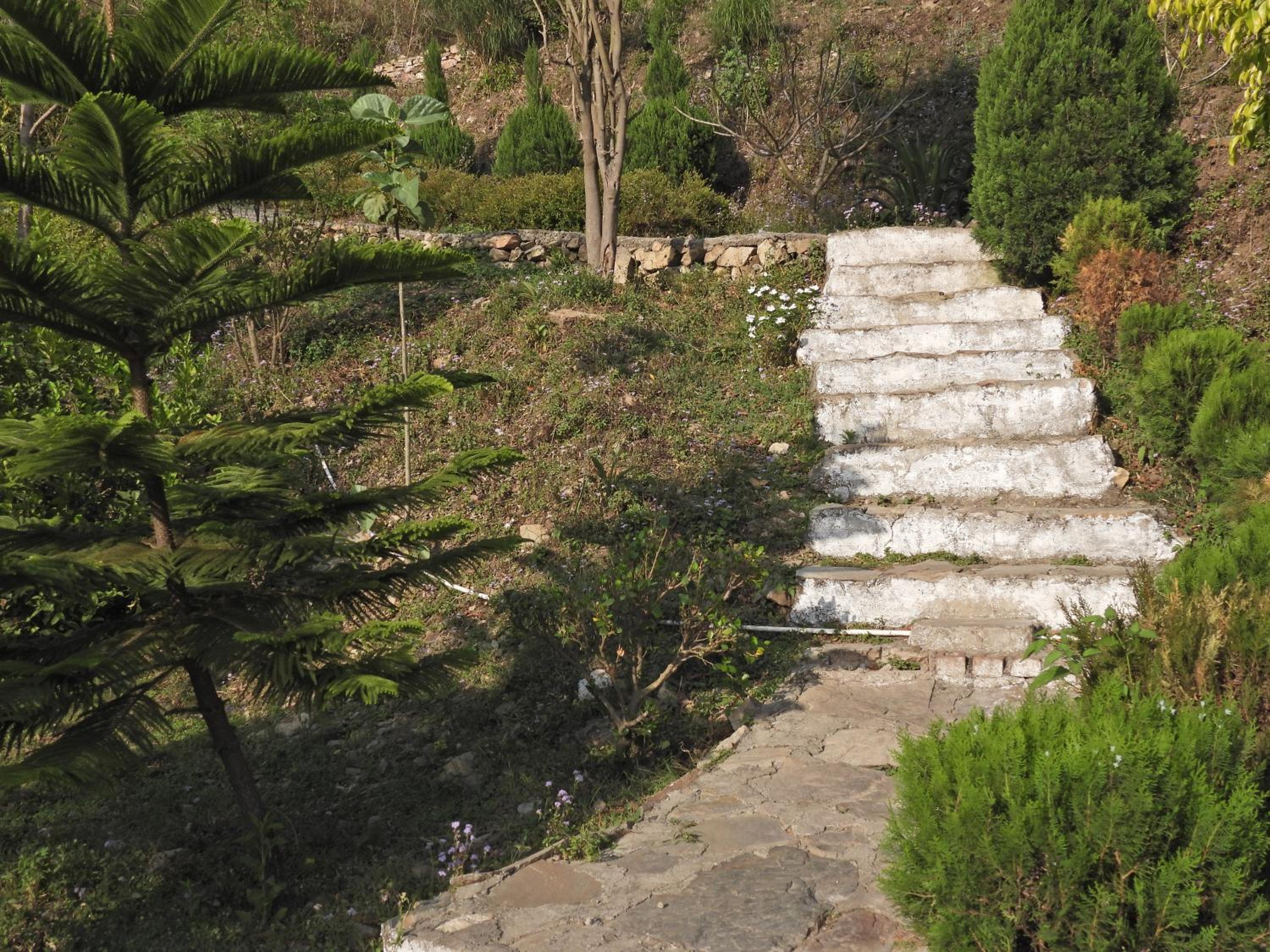 Hills Of Adventure, Keshudhar, Lansdowne