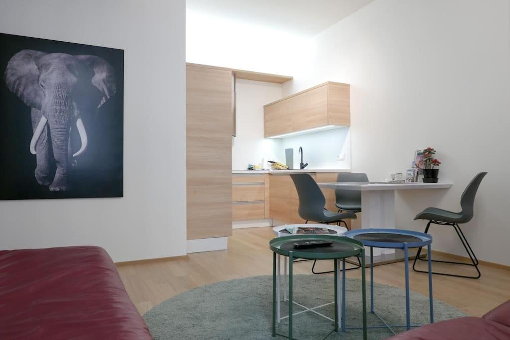 Accommodation in the heart of Brno