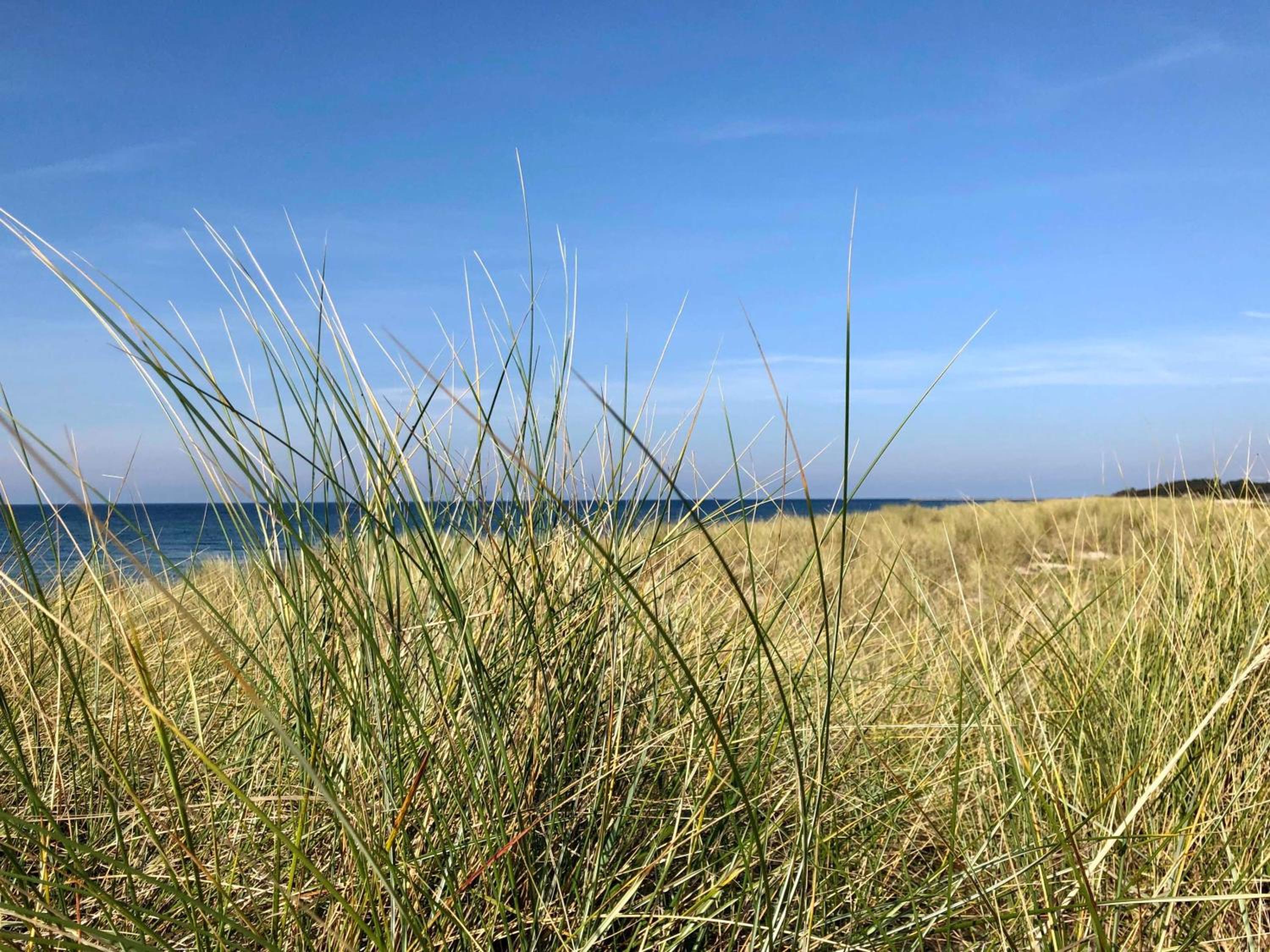 Strandperlen Weidenhof 8 A