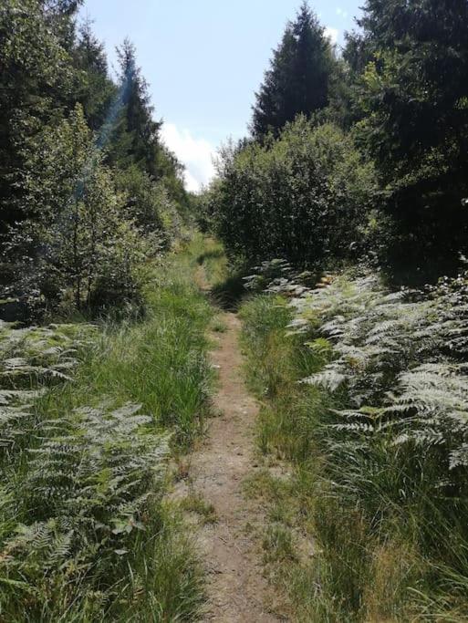 Les 3 Frères appart calme et reposant en pleine nature