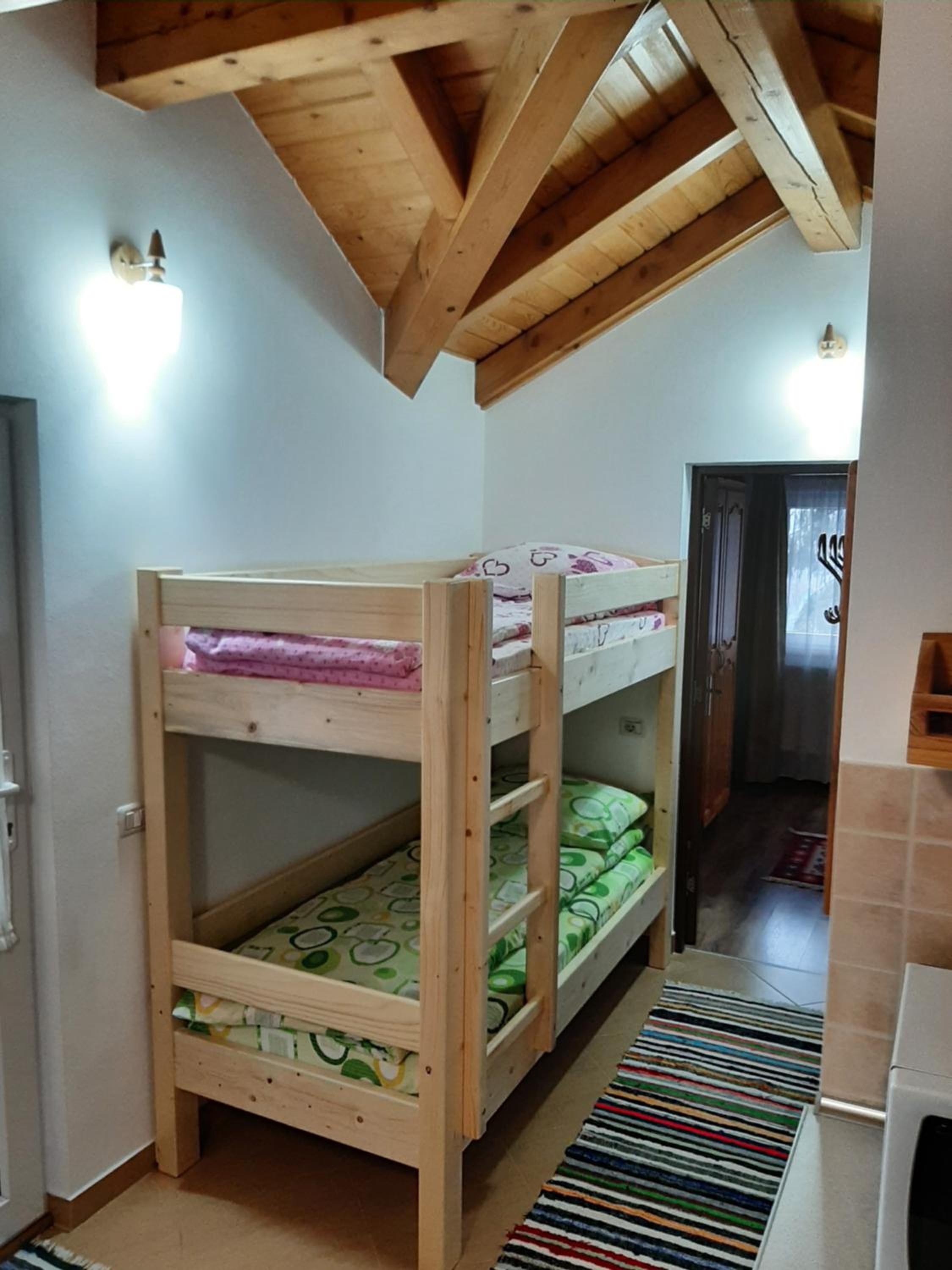 Casuta Pietrosul Rodnei view 4