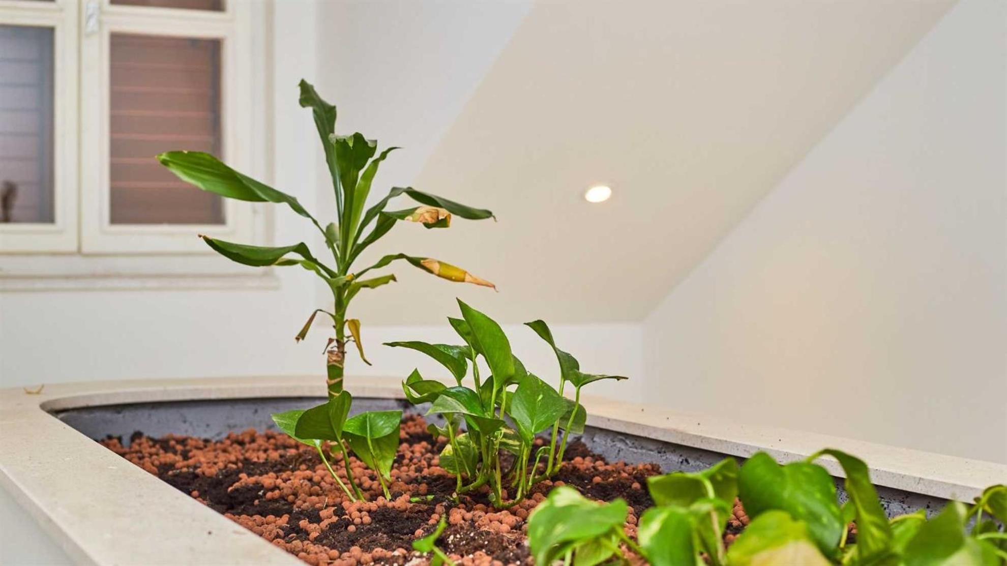 Boutique Garden Rooms