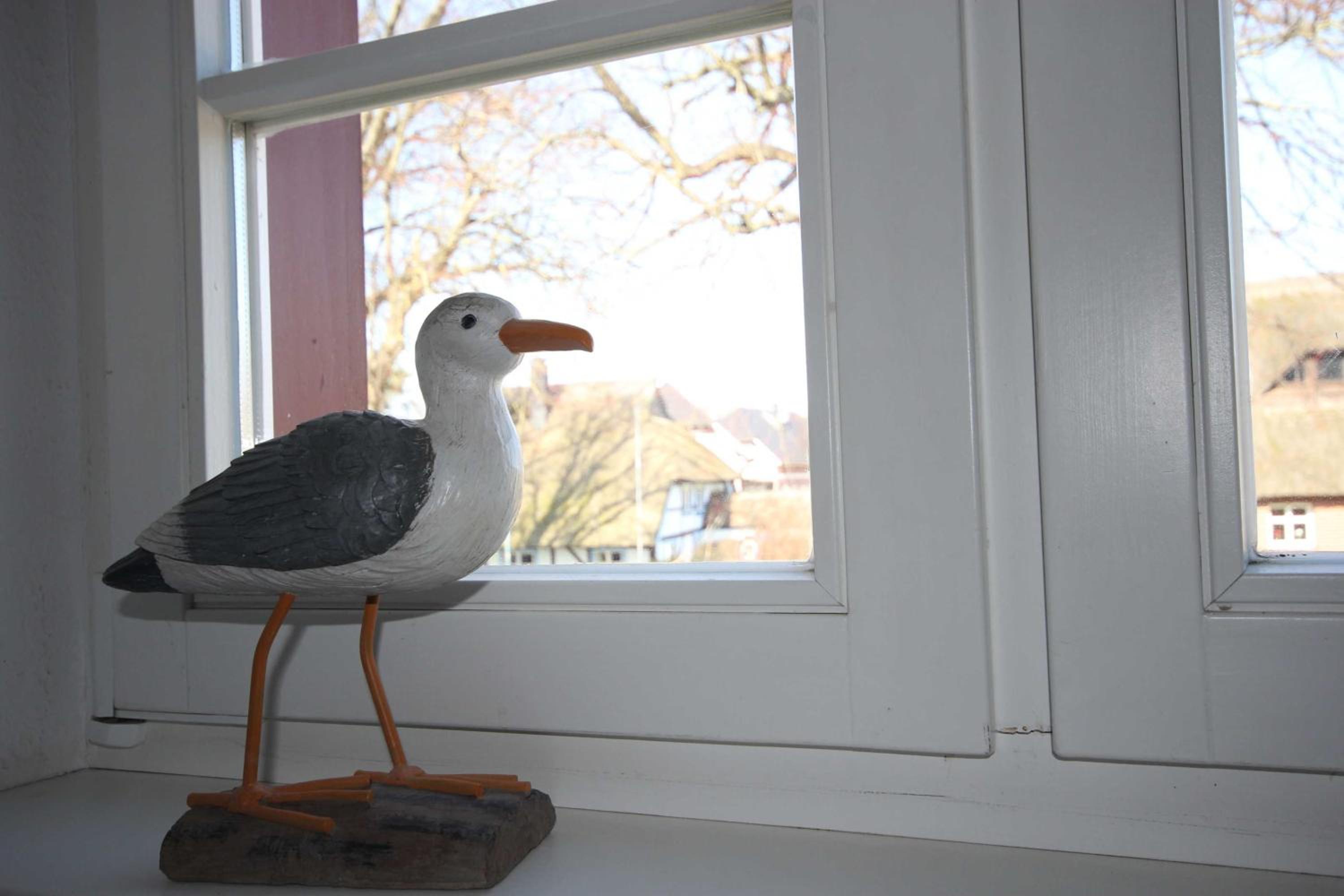Pfarrscheune Wustrow