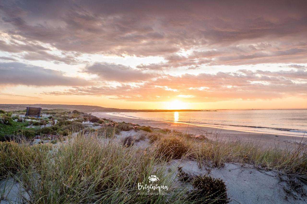 Sandspoor