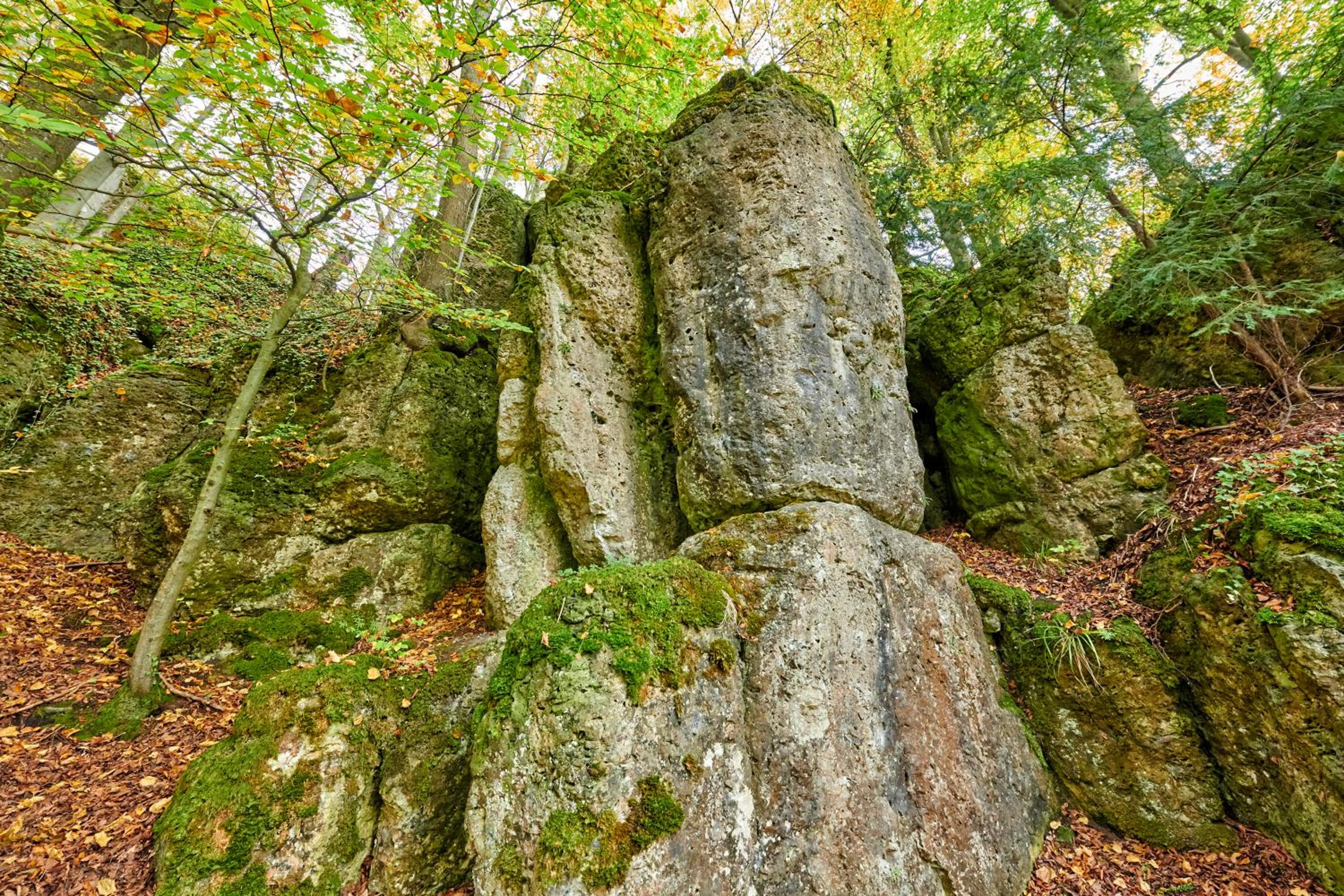 Ferienhaus Sylvia beim Waldrand