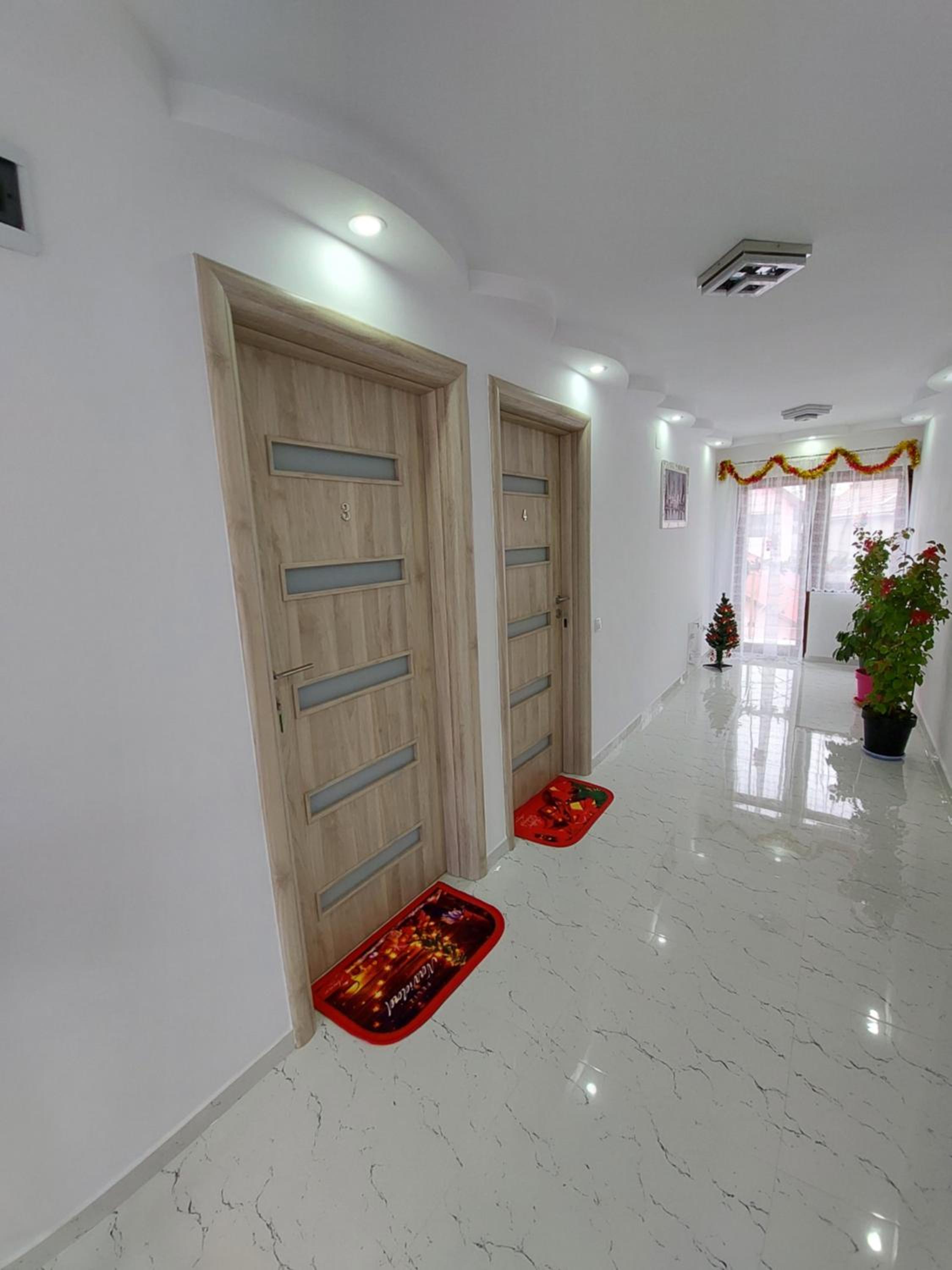 Maria's Dream House