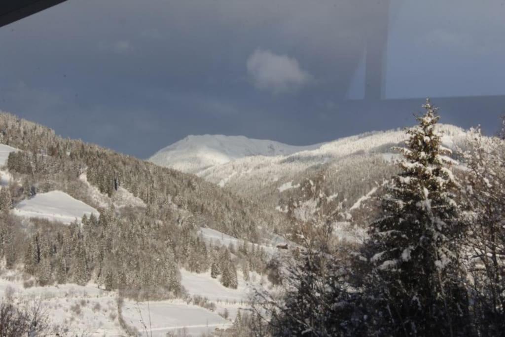 Gemütliches Bergappartement mit Seeblick